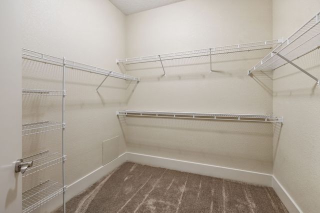 a view of a room with racks on the wall