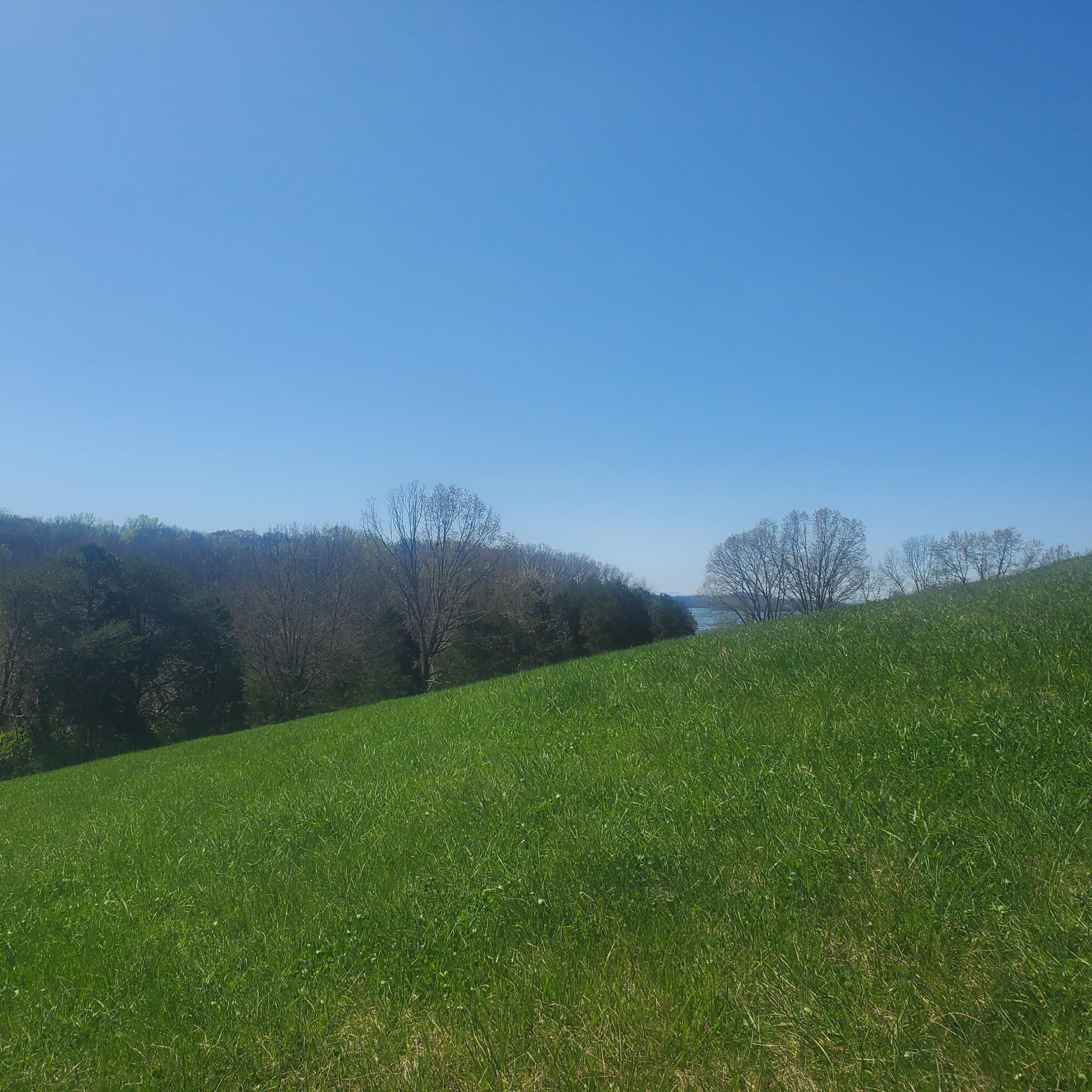 Lot 42 Cow Poke Lane Rutledge, TN 37861 - Photo 3 of 16 3