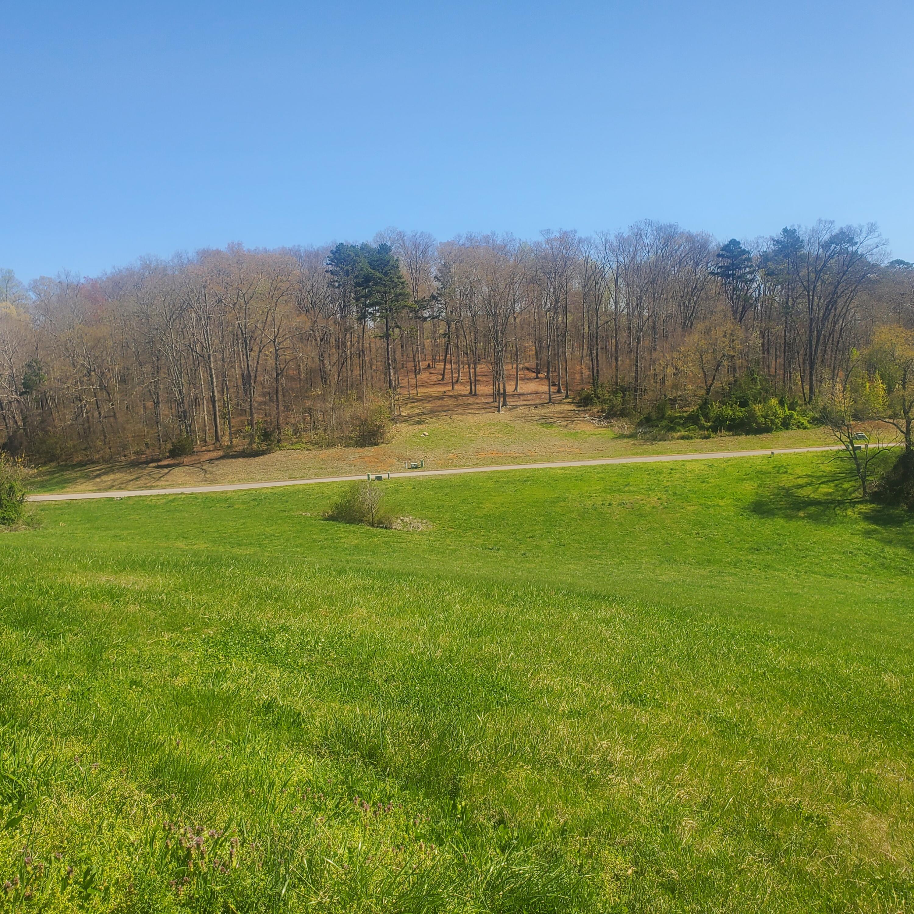 Lot 42 Cow Poke Lane Rutledge, TN 37861 - Photo 4 of 16 4