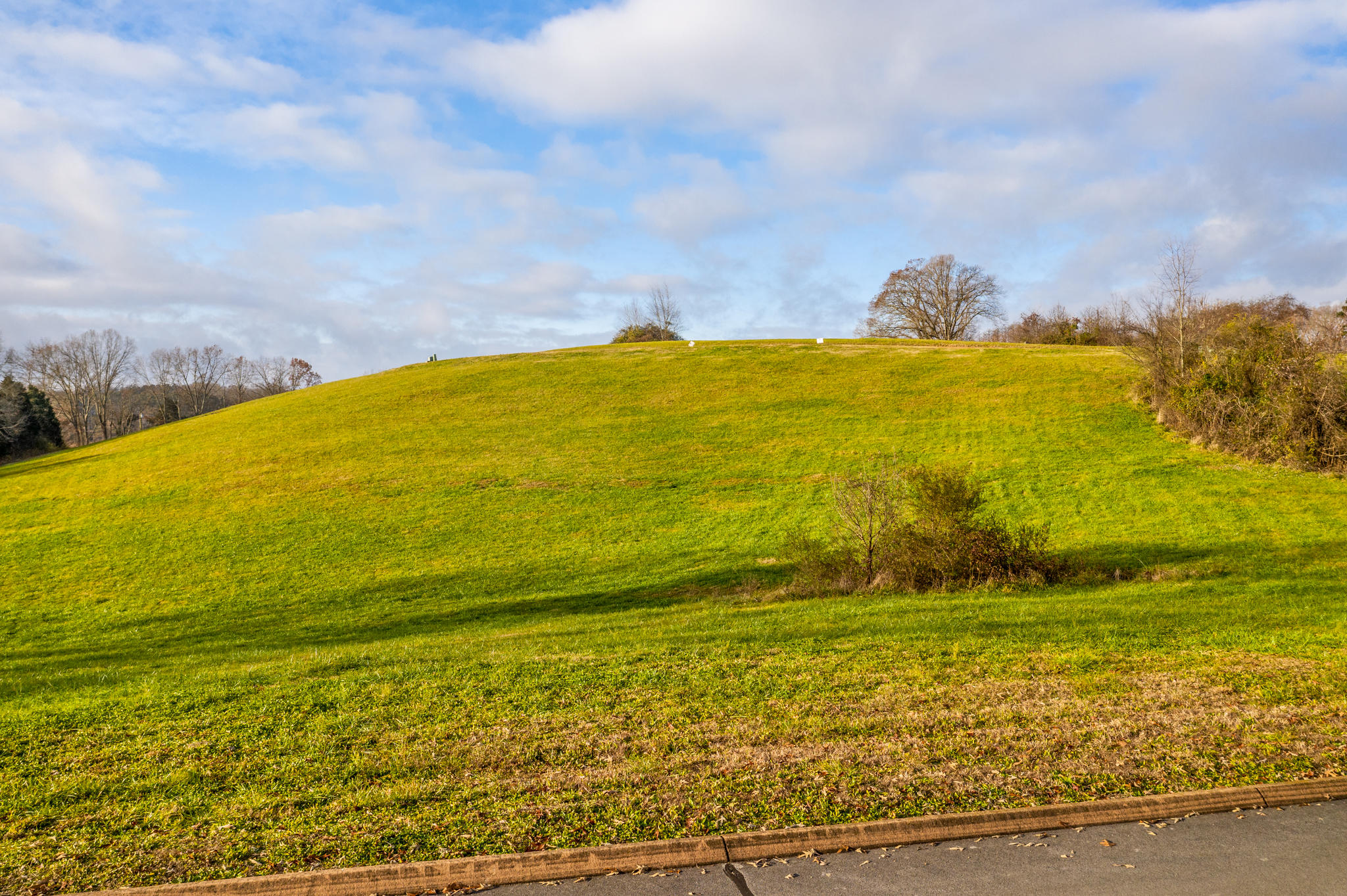 Lot 42 Cow Poke Lane Rutledge, TN 37861 - Photo 6 of 16 6