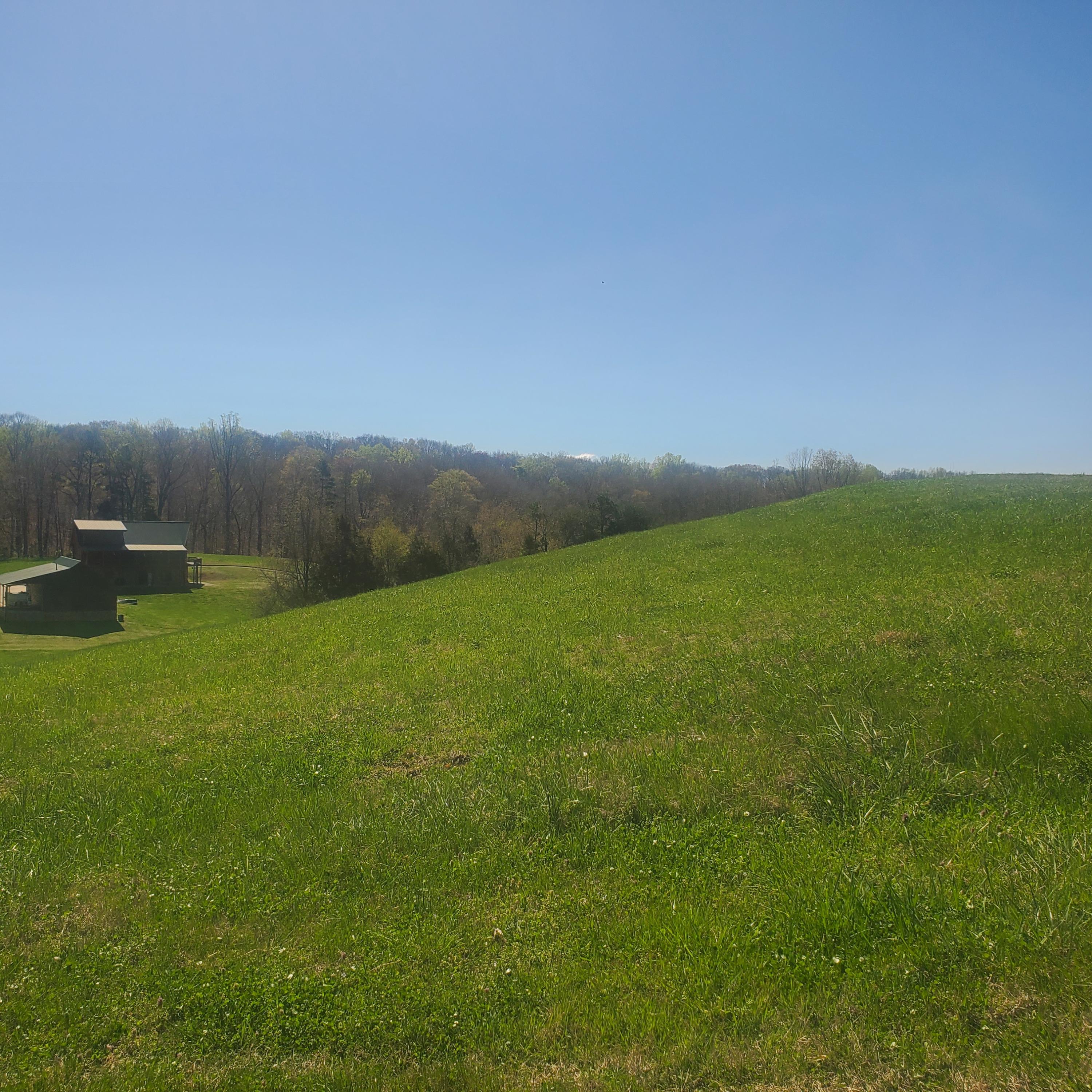 Lot 42 Cow Poke Lane Rutledge, TN 37861 - Photo 7 of 16 7