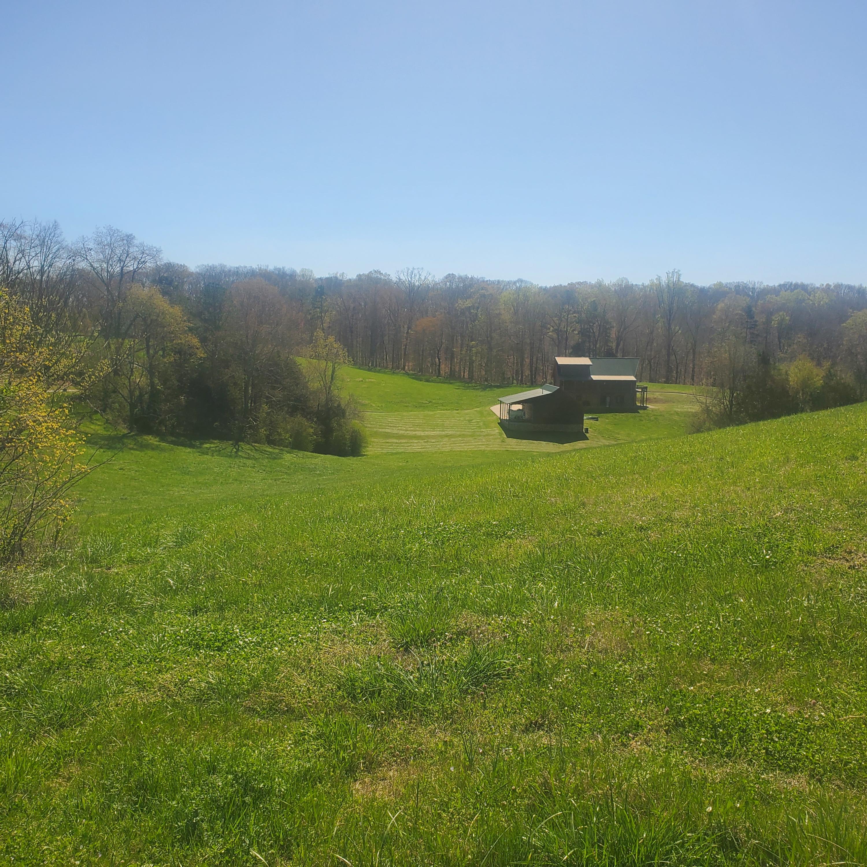 Lot 42 Cow Poke Lane Rutledge, TN 37861 - Photo 8 of 16 8