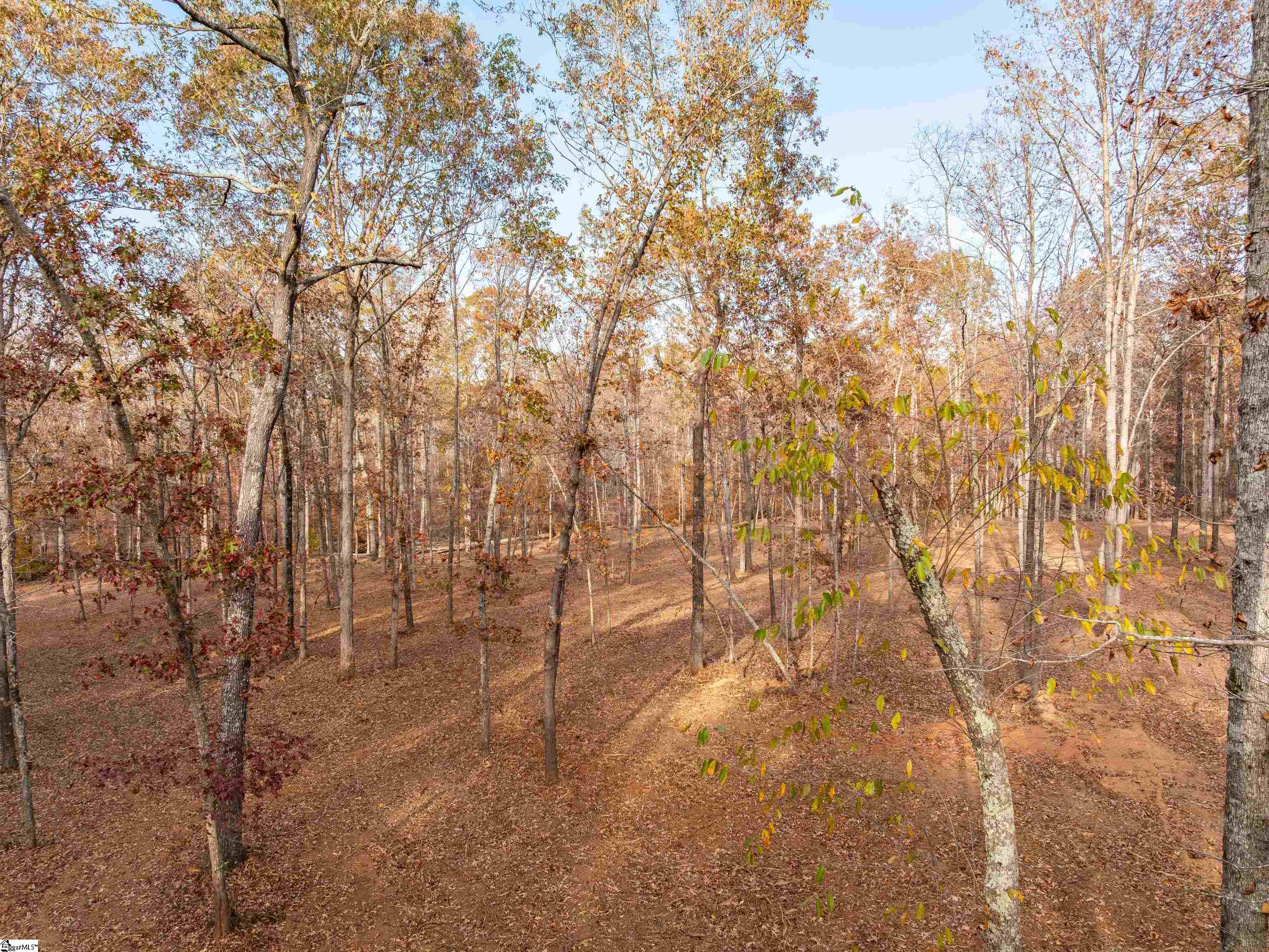 253 West Chapman Road, Unit LOT 8 Belton, SC 29627 - Photo 14 of 24