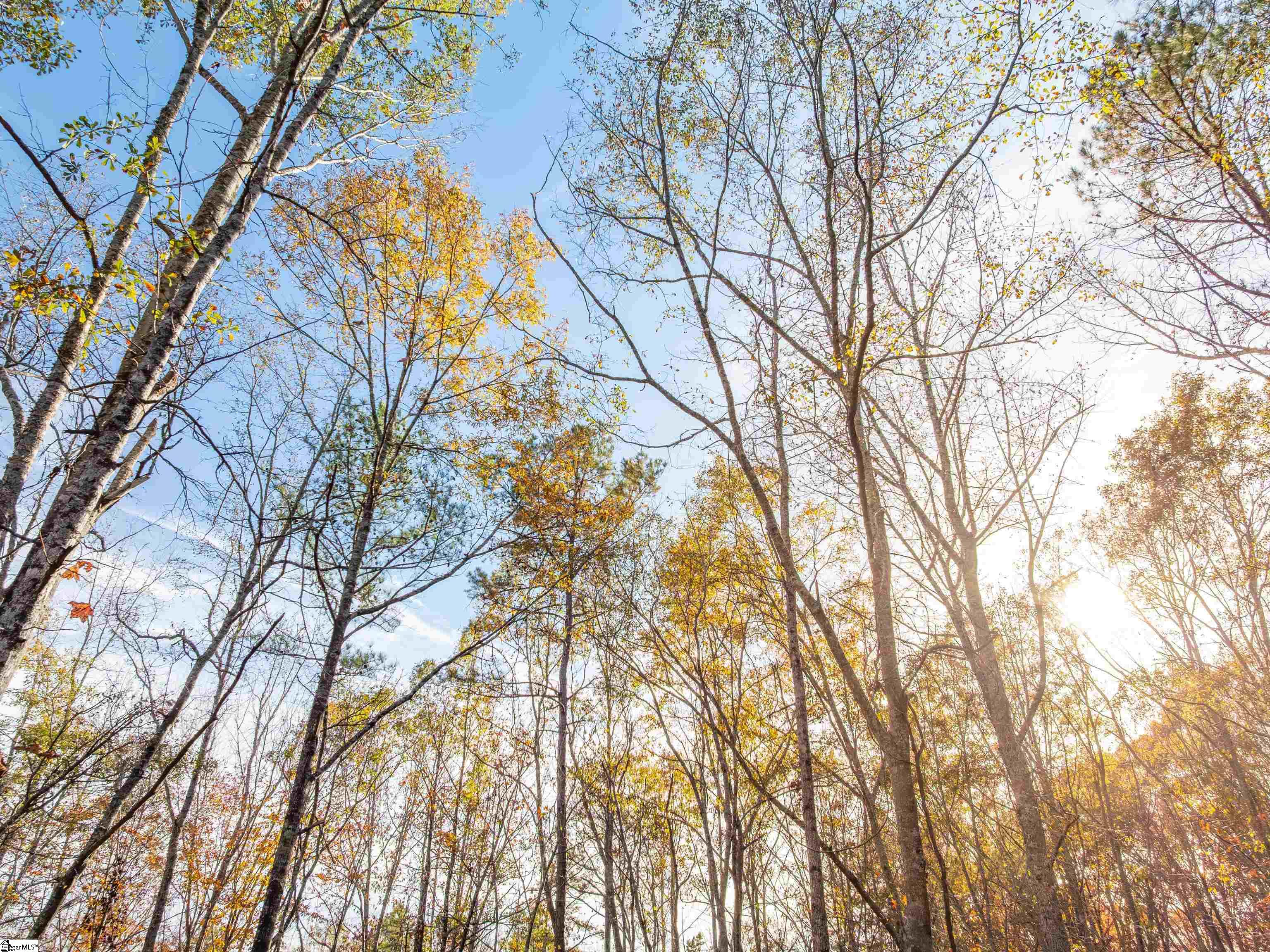 253 West Chapman Road, Unit LOT 8 Belton, SC 29627 - Photo 15 of 24