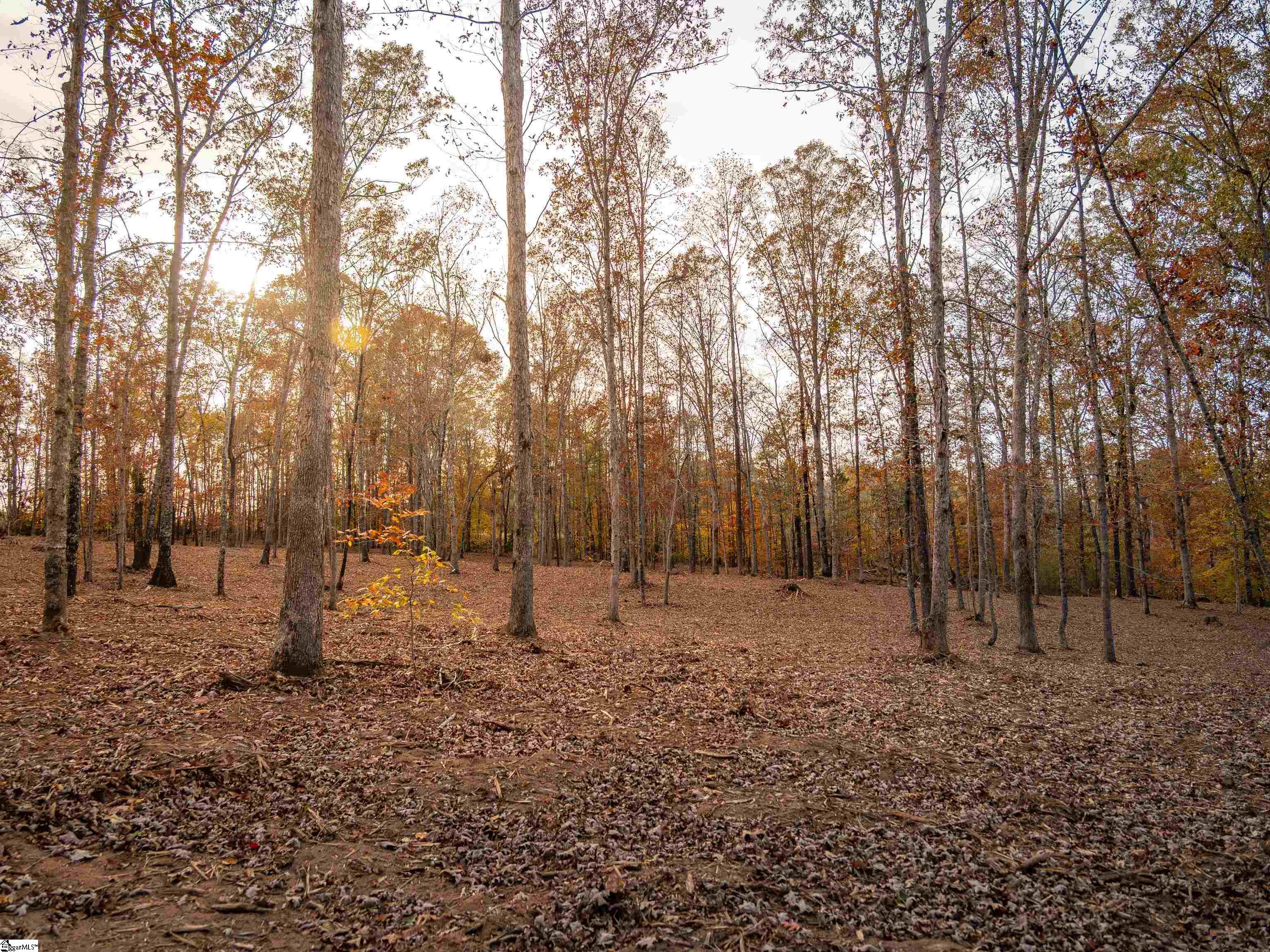 253 West Chapman Road, Unit LOT 8 Belton, SC 29627 - Photo 19 of 24