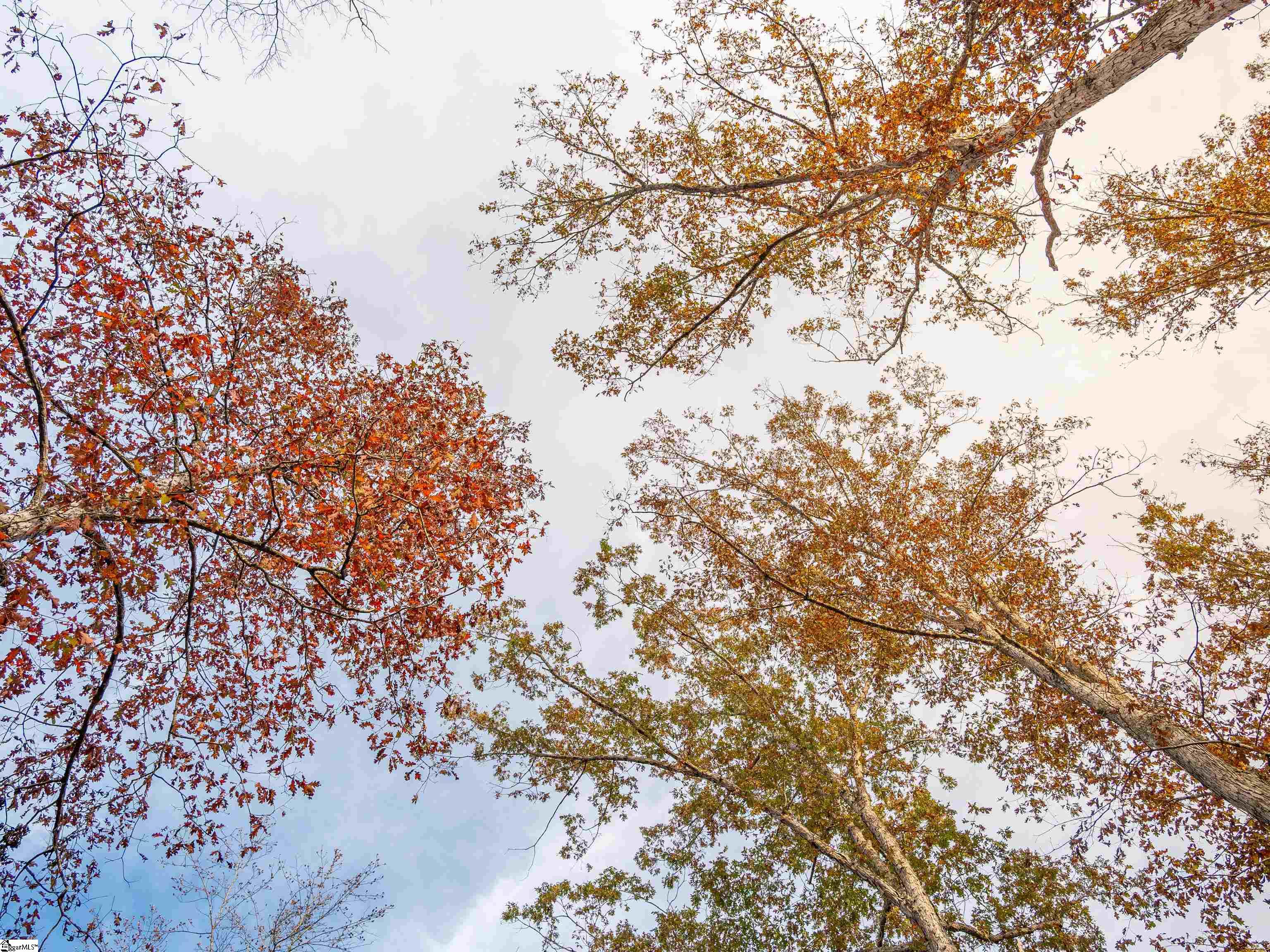 253 West Chapman Road, Unit LOT 8 Belton, SC 29627 - Photo 20 of 24