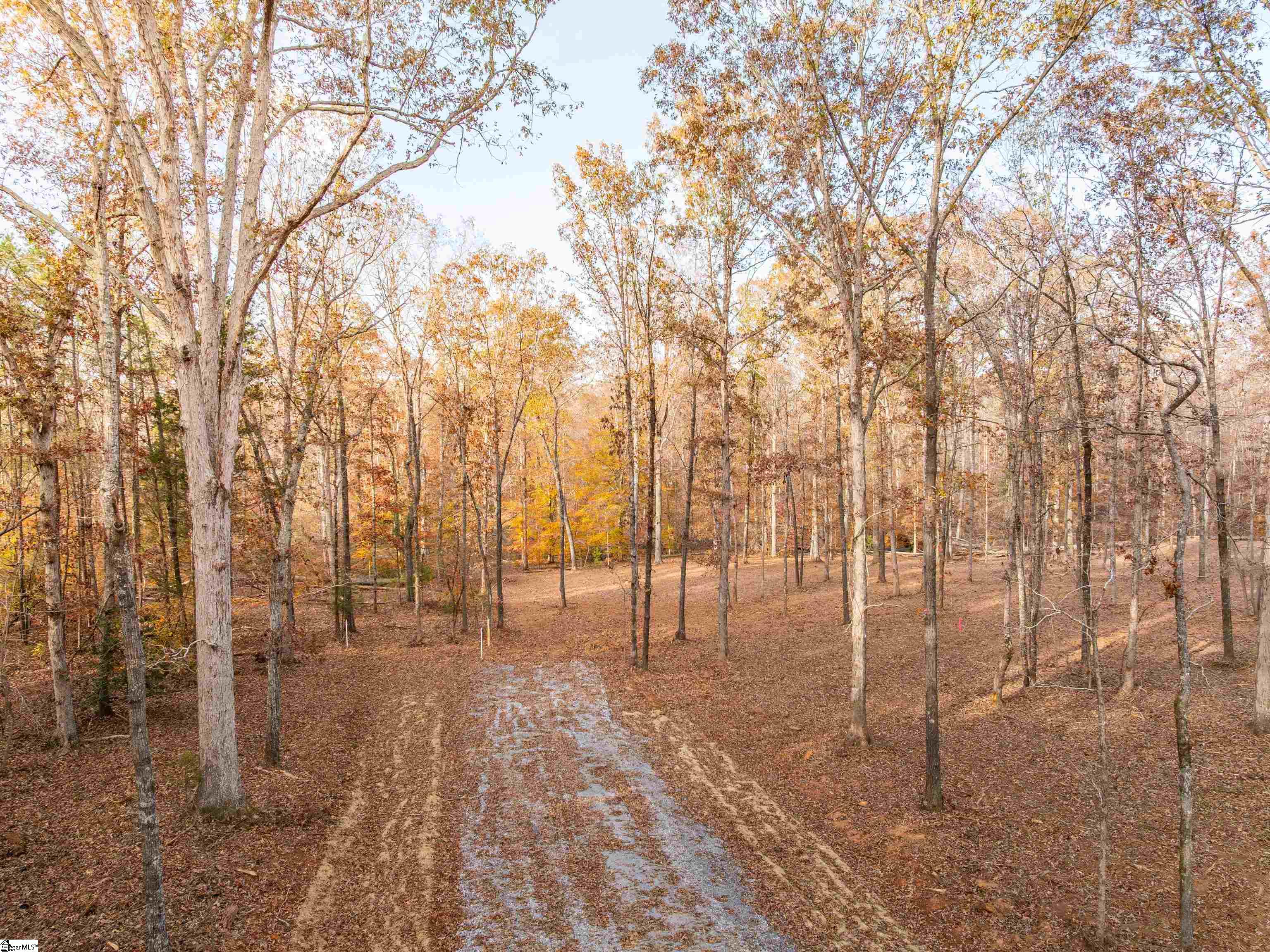 253 West Chapman Road, Unit LOT 8 Belton, SC 29627 - Photo 2 of 24