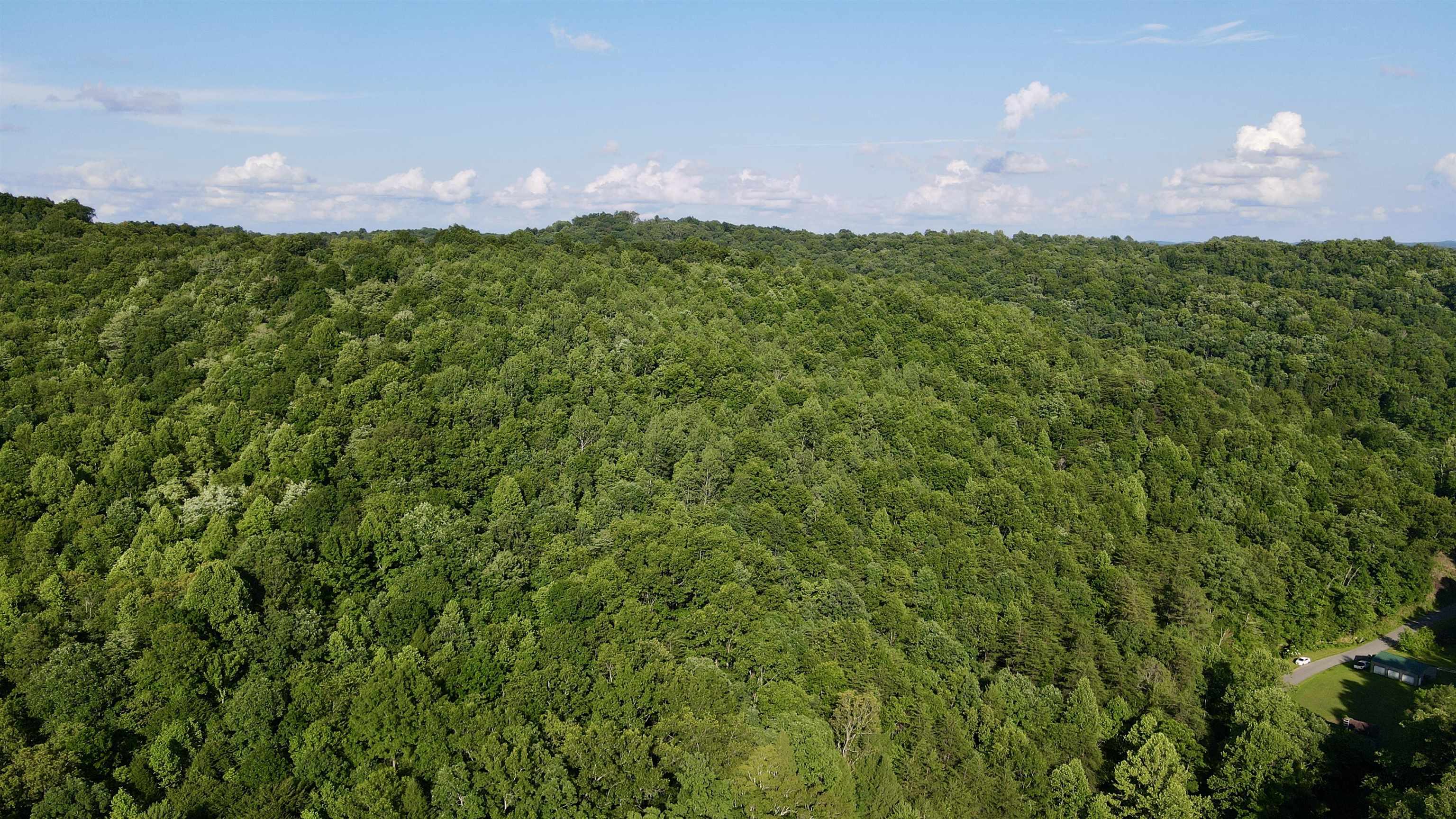 0 Laurel Road Greenup, KY 41144 - Photo 3 of 10