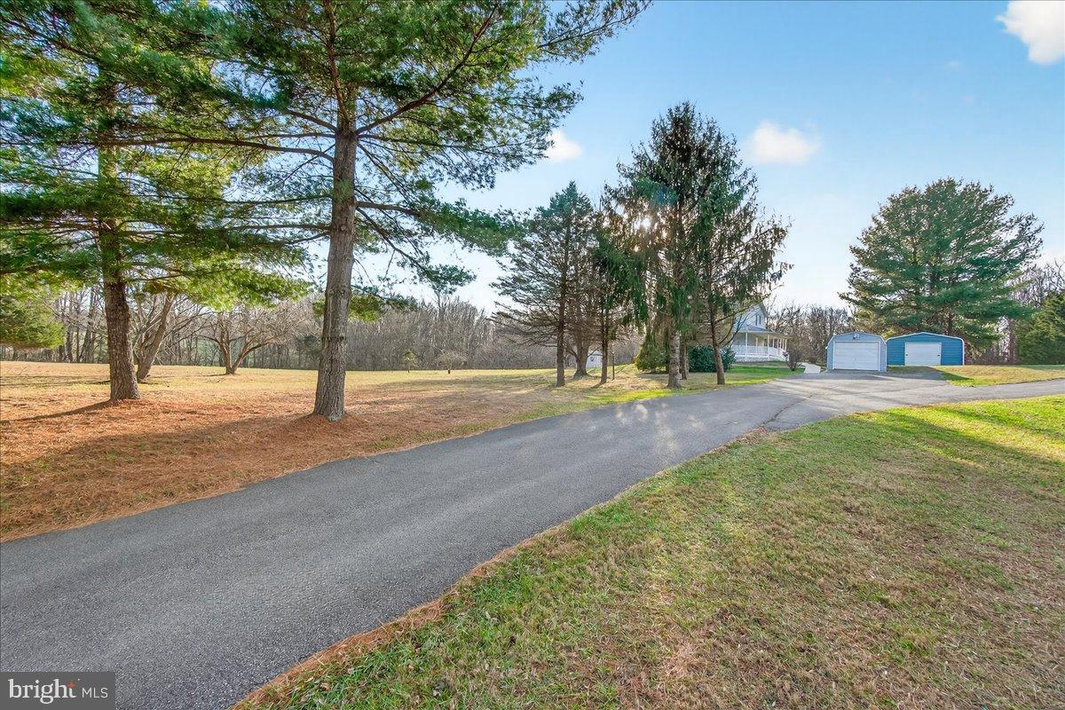 6918 Woodville Road Mount Airy, MD 21771 - Photo 38 of 46 Serene driveway through lush greenery.