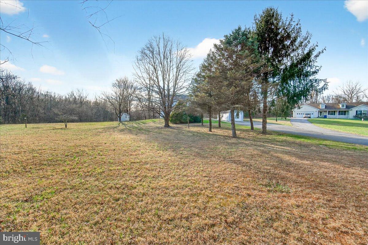 6918 Woodville Road Mount Airy, MD 21771 - Photo 39 of 46 Spacious lot with serene tree line backdrop.