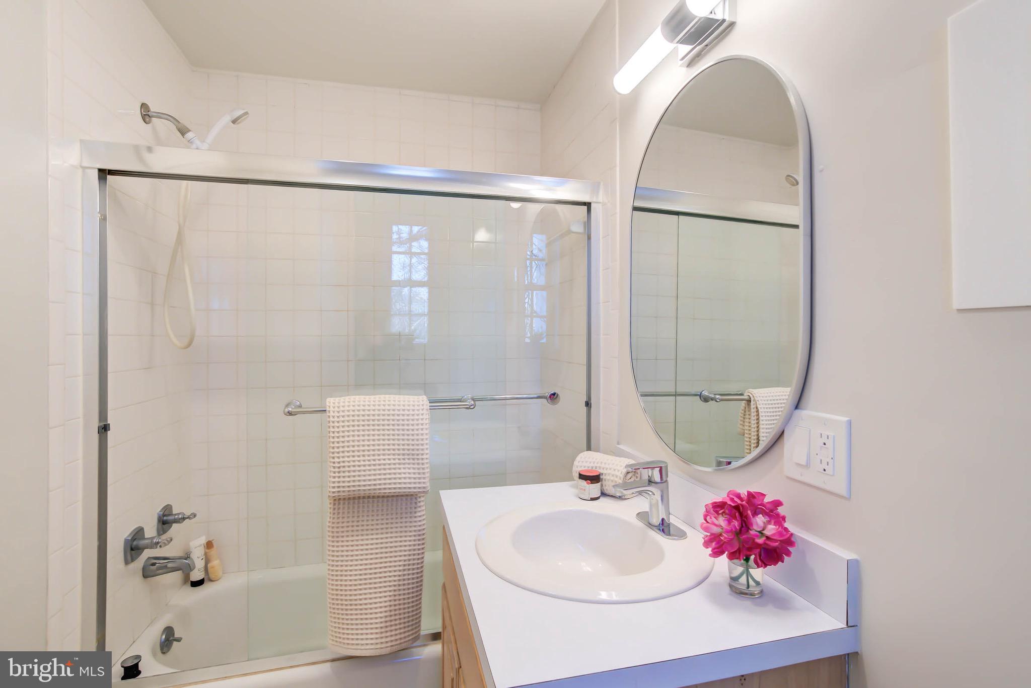 240 14th Street Southeast Washington, DC 20003 - Photo 8 of 14 a bathroom with a sink mirror and a bathtub
