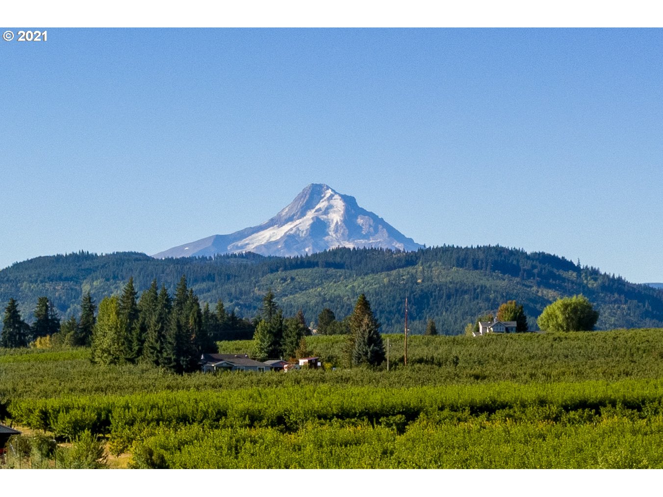 1860 Markham Road, Unit 1 Hood River, OR 97031 - Photo 9 of 18 Gallery Image 9
