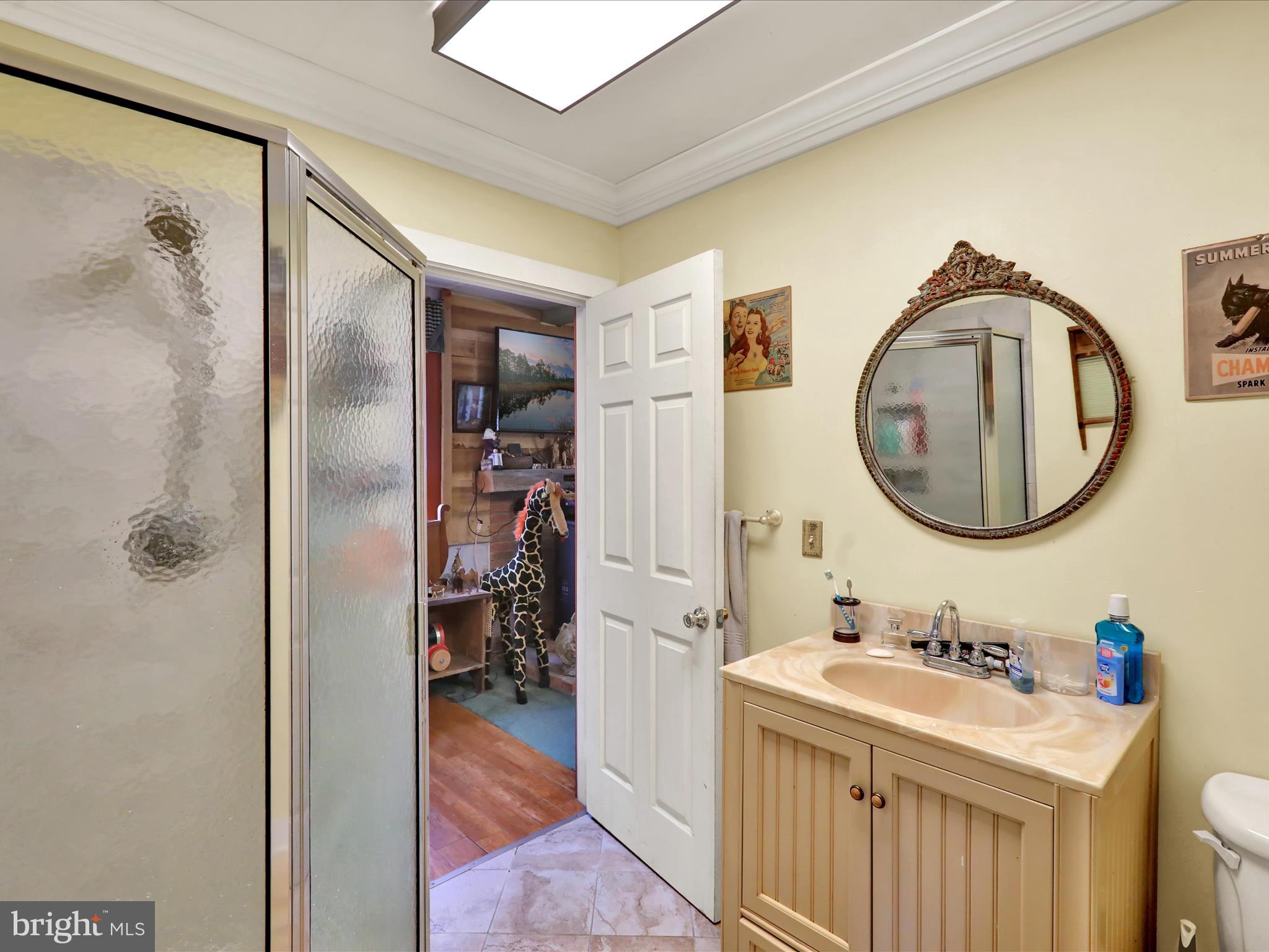 1443 Shumaker Road Manheim, PA 17545 - Photo 21 of 71 a bathroom with a sink and a mirror