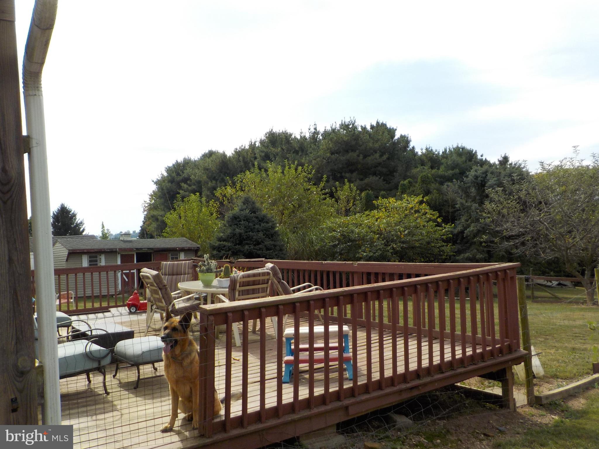 1443 Shumaker Road Manheim, PA 17545 - Photo 8 of 71 a view of deck with furniture and trees in the background