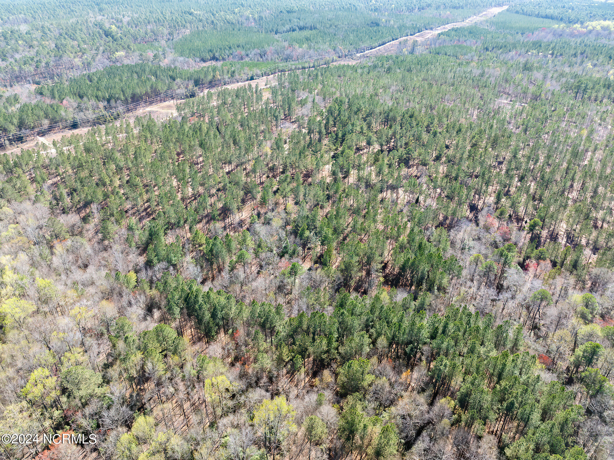 4 Jones Spring Church Road Ellerbe, NC 28338 - Photo 3 of 20 RS 1 DJI_0131