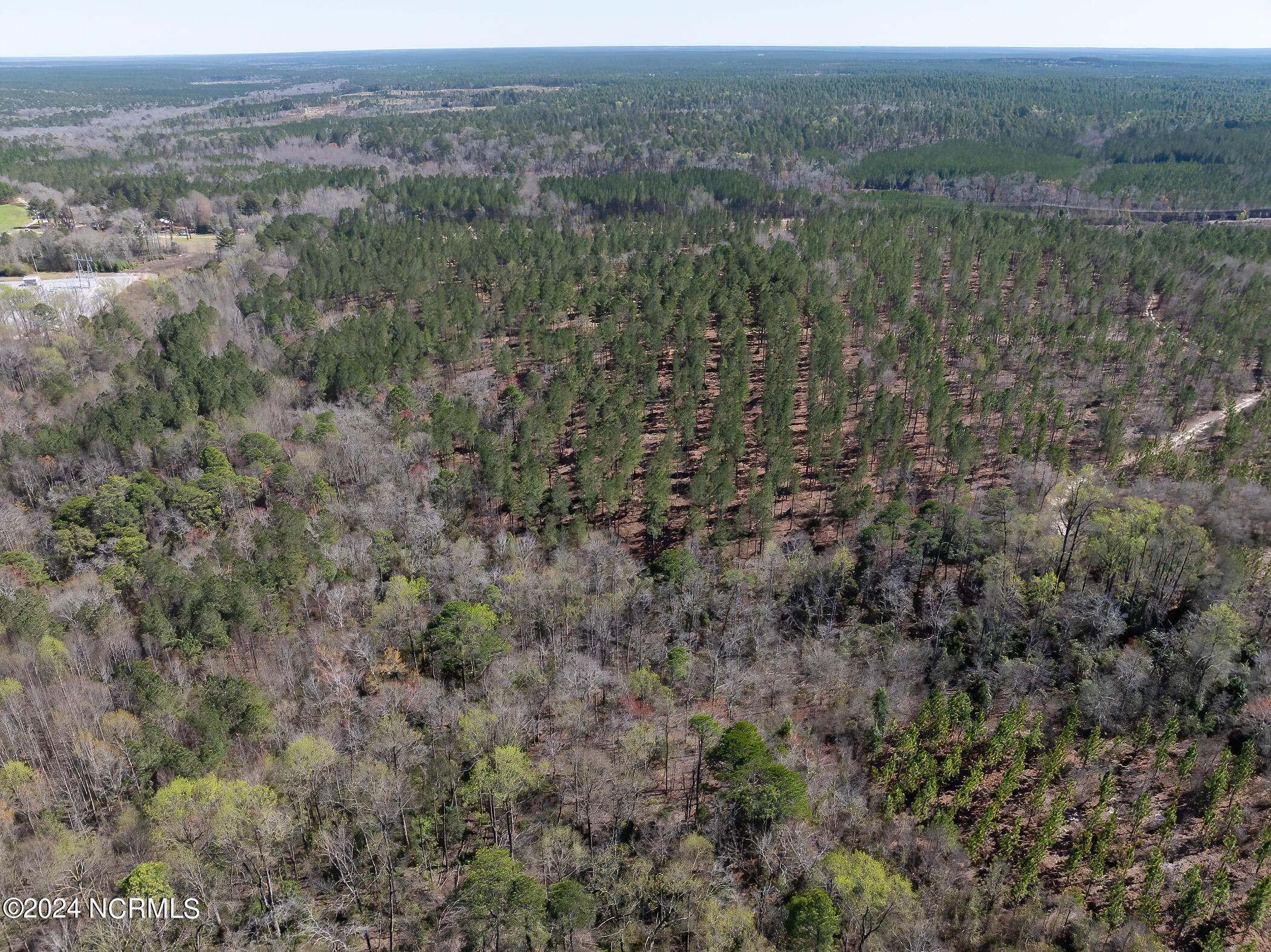 4 Jones Spring Church Road Ellerbe, NC 28338 - Photo 6 of 20 RS 1 DJI_0134