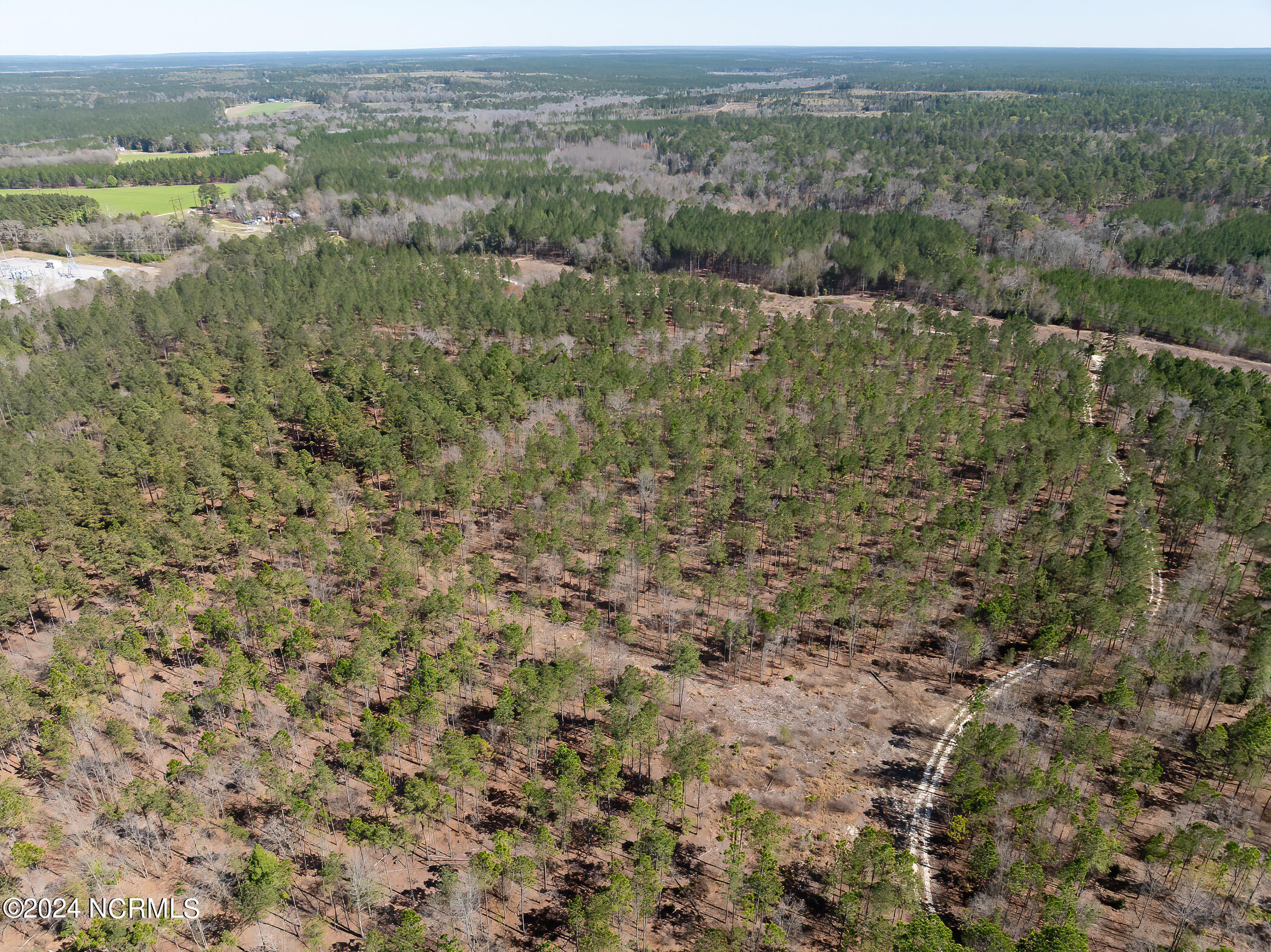 4 Jones Spring Church Road Ellerbe, NC 28338 - Photo 7 of 20 RS 1 DJI_0136