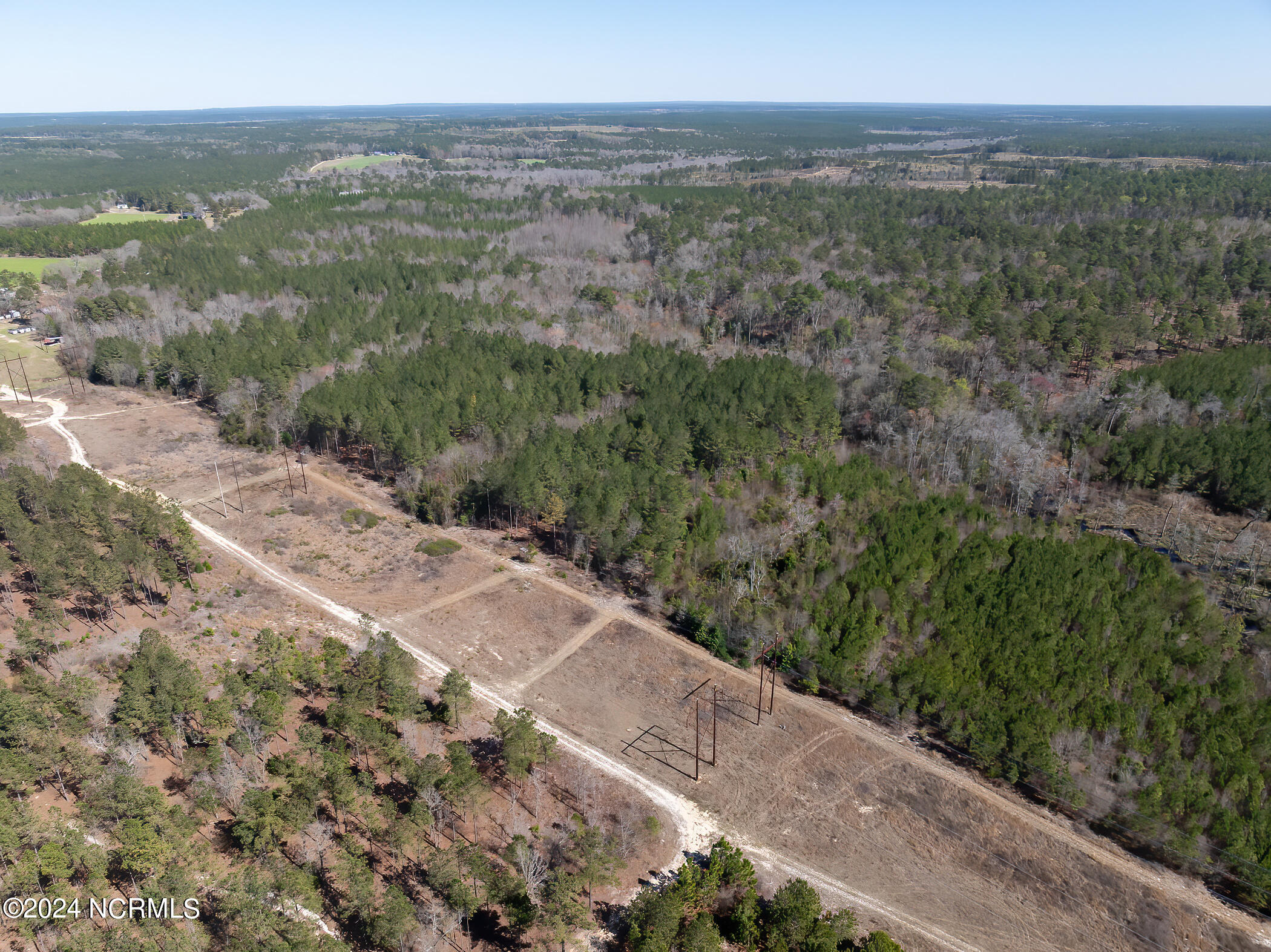 4 Jones Spring Church Road Ellerbe, NC 28338 - Photo 9 of 20 RS 1 DJI_0138