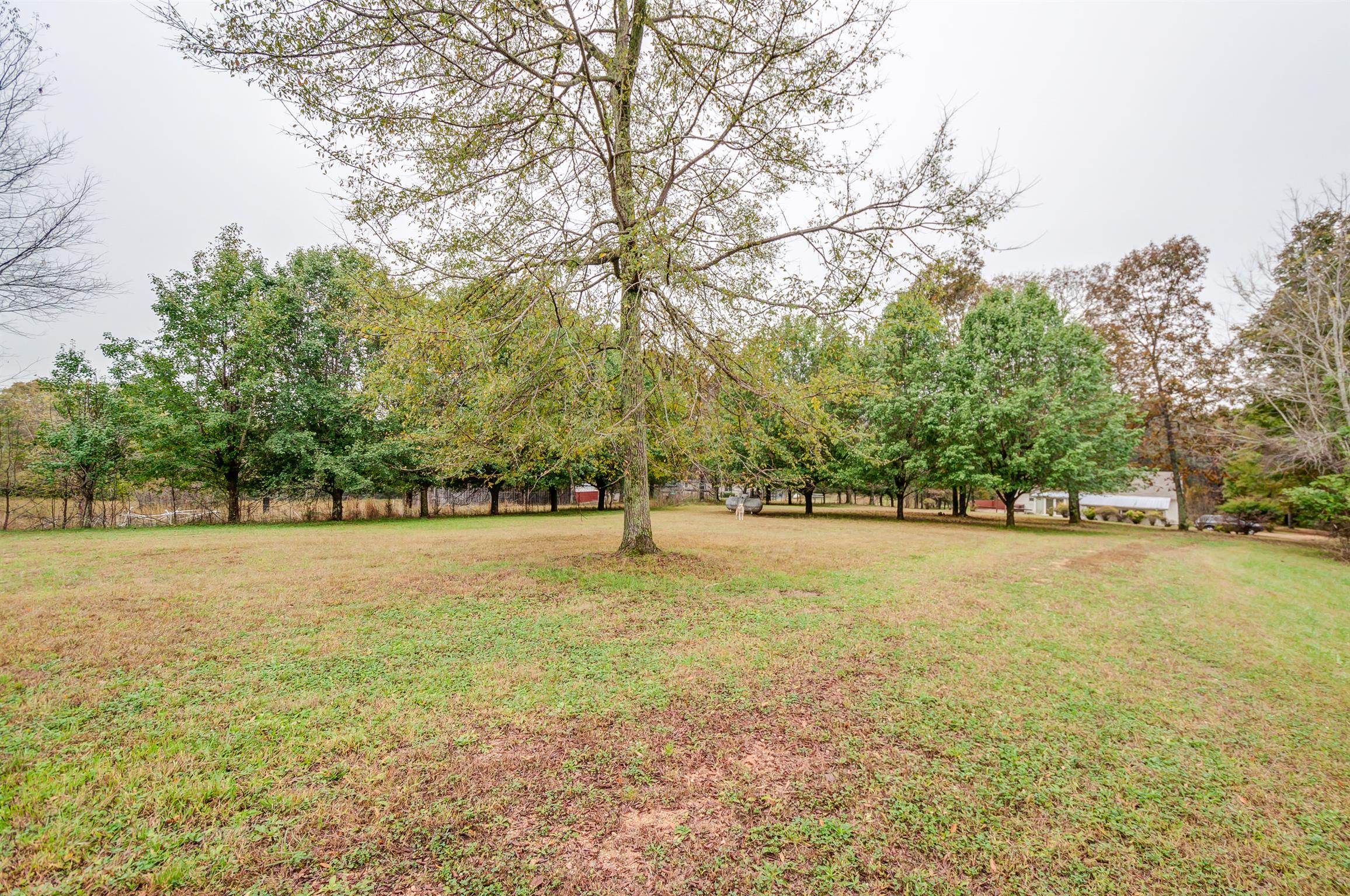 1080 East Beaverdam Road Centerville, TN 37033 - Photo 25 of 28 Gallery Image 25