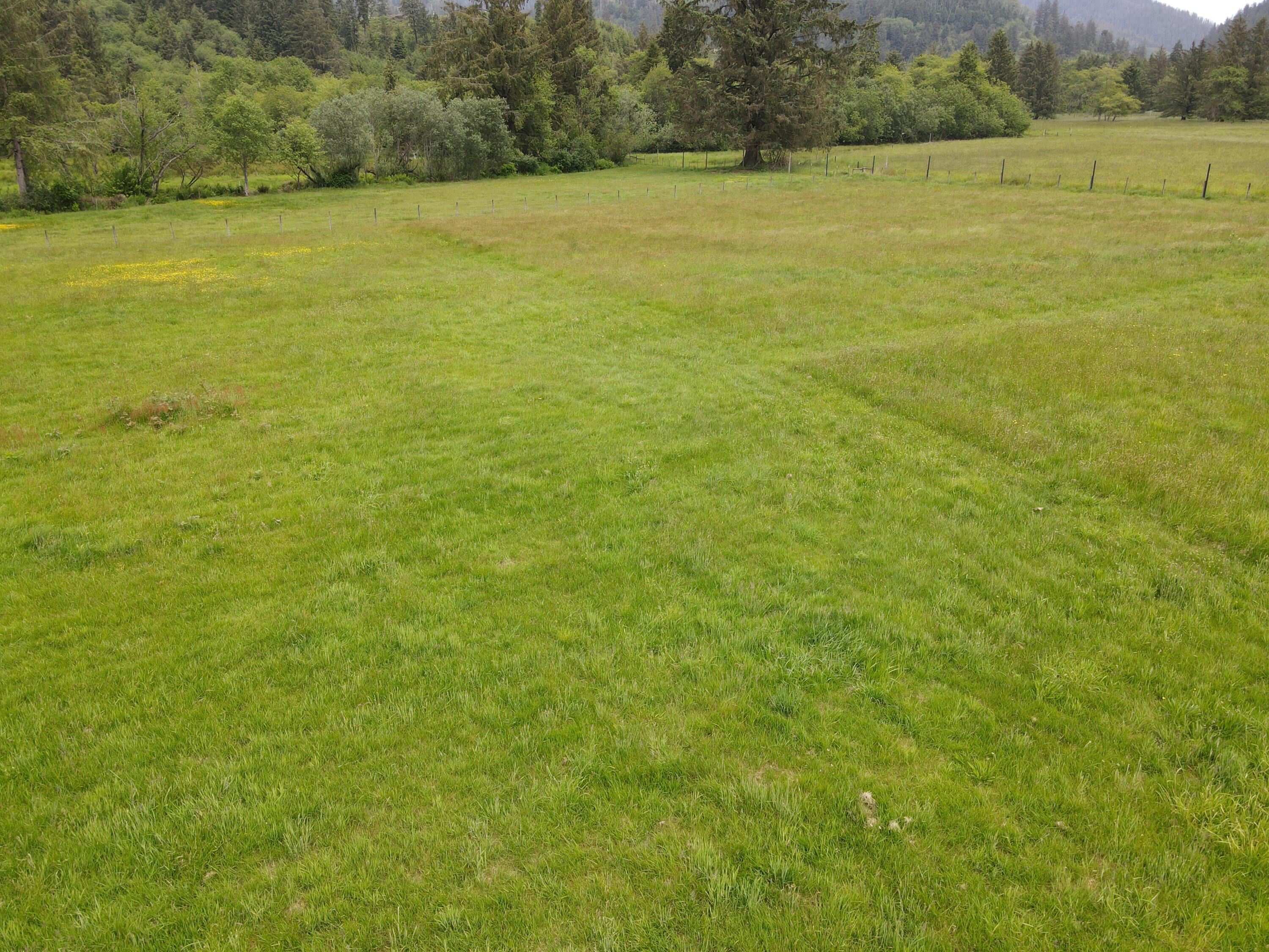 2902 Alderbrook Road Tillamook, OR 97141 - Photo 4 of 26 DJI_0535