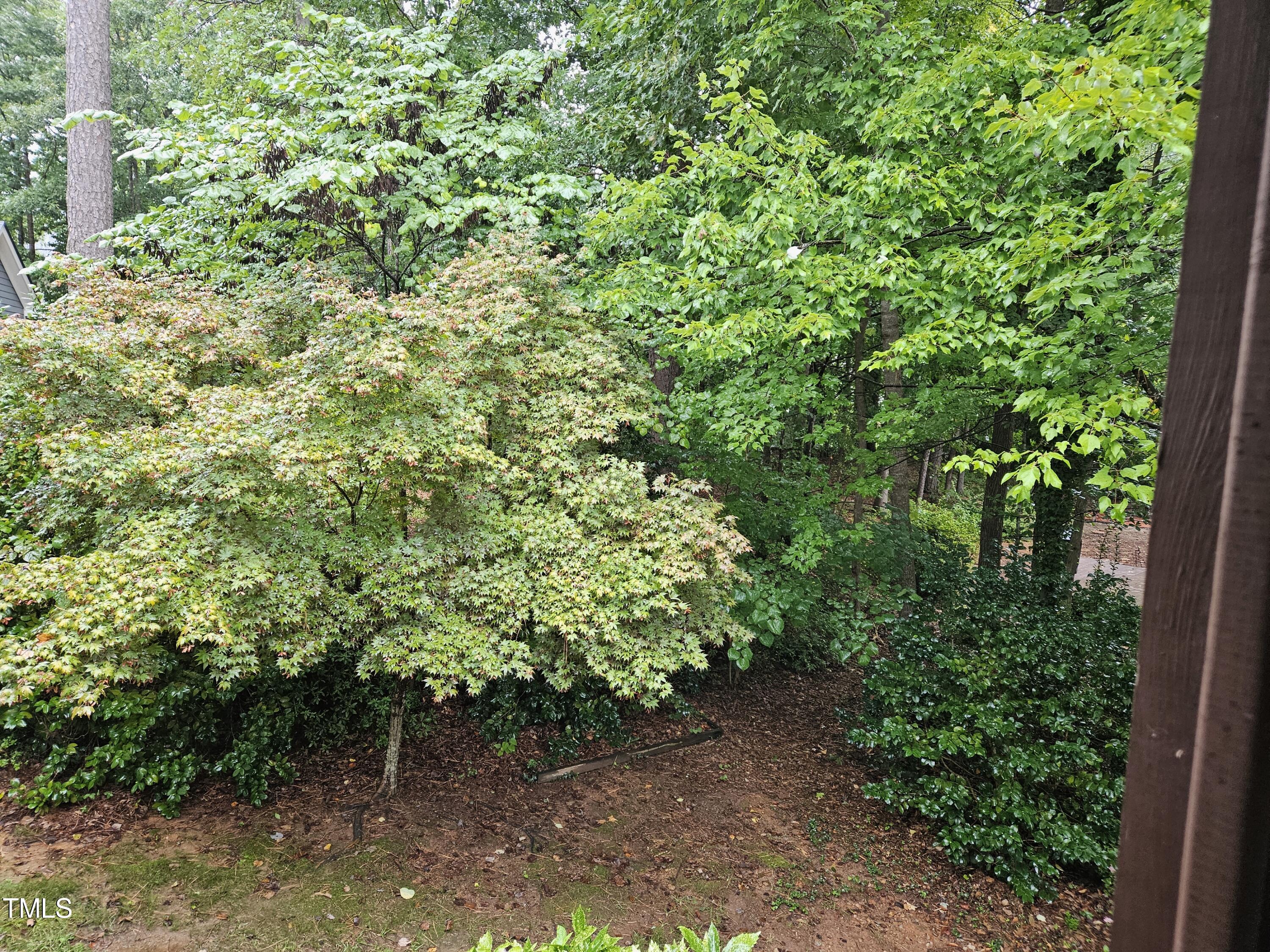 2917 Beehnon Way Raleigh, NC 27603 - Photo 27 of 39 View from Screen porch