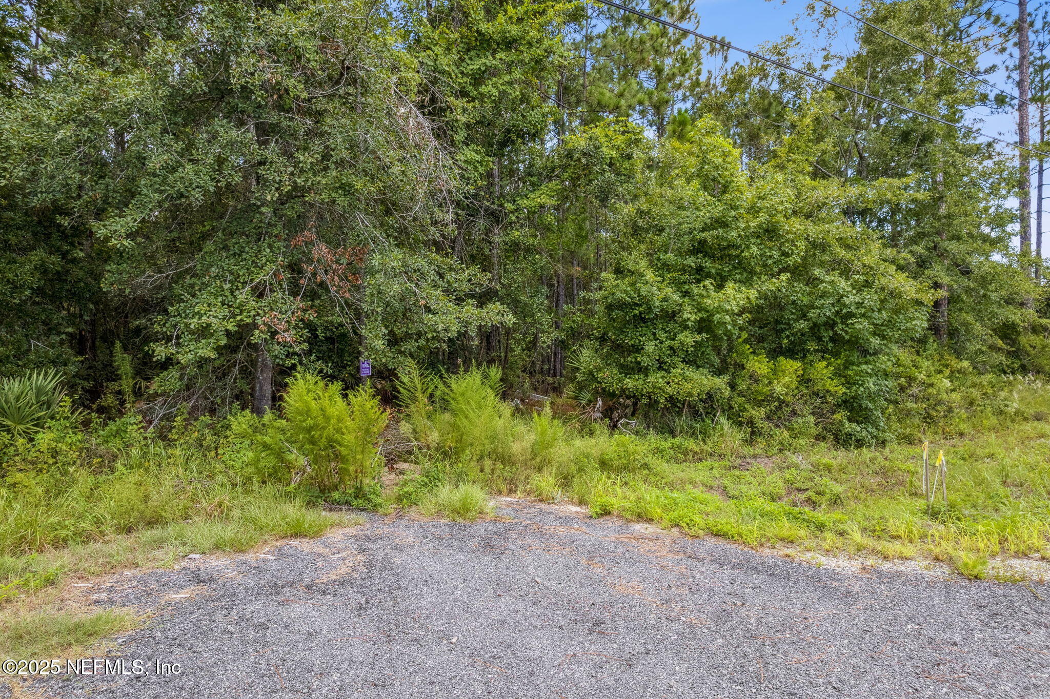 0 State Road 107 Road Fernandina Beach, FL 32034 - Photo 1 of 6 1-web-or-mls-1_Frank Ward Rd
