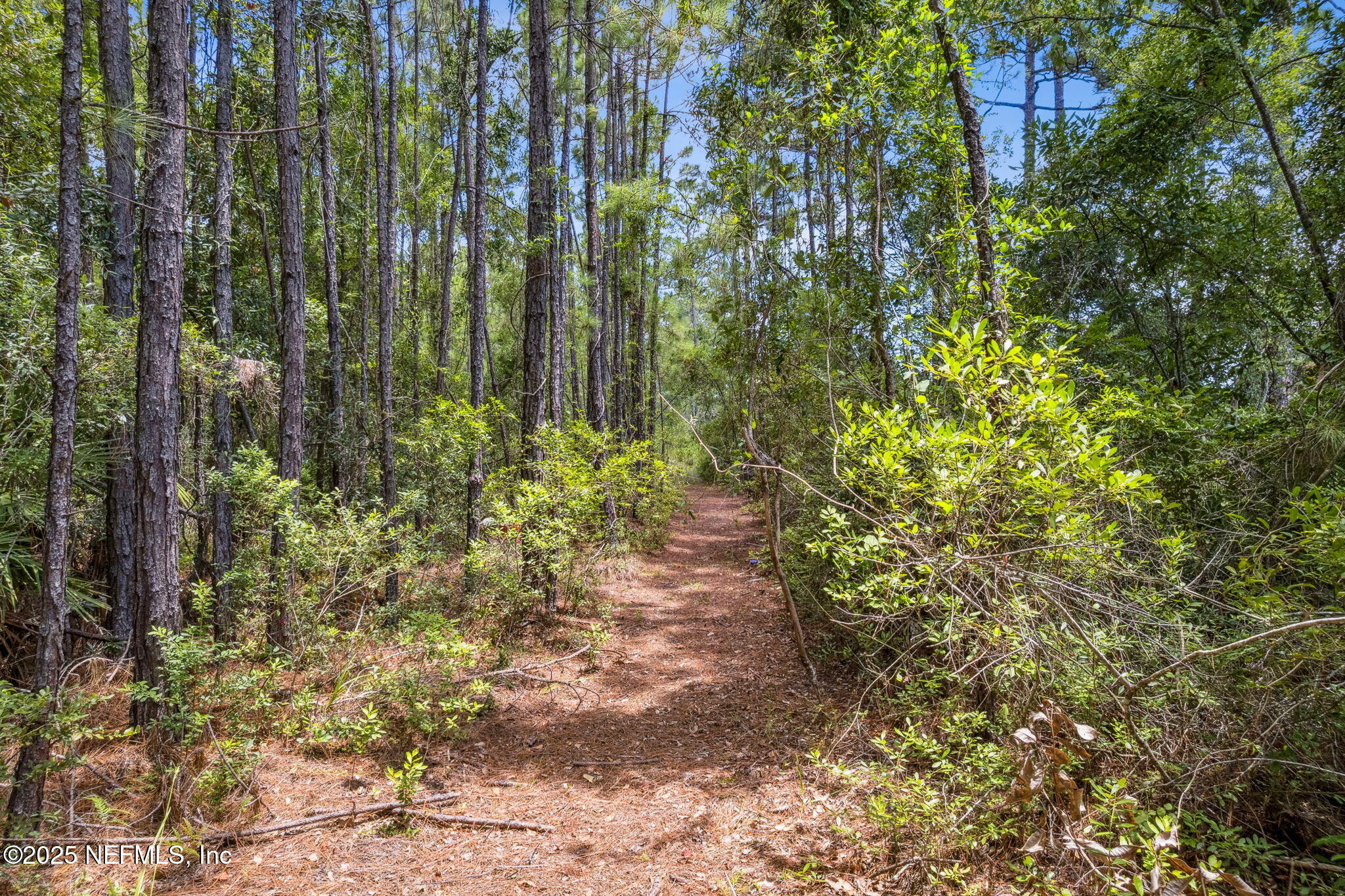 0 State Road 107 Road Fernandina Beach, FL 32034 - Photo 2 of 6 3-web-or-mls-2_Frank Ward Rd