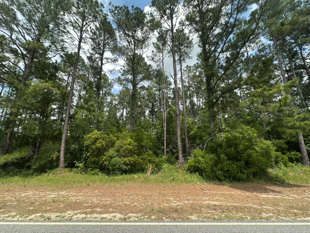 0 Sardis Church Road Moultrie, GA 31788 - Photo 1 of 2 Gallery Image 1