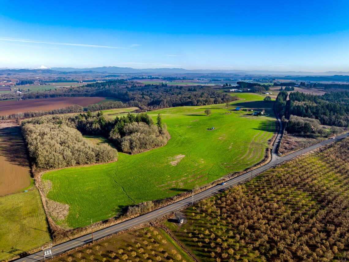 9900 Oak Hill Rd Drone MLS 4