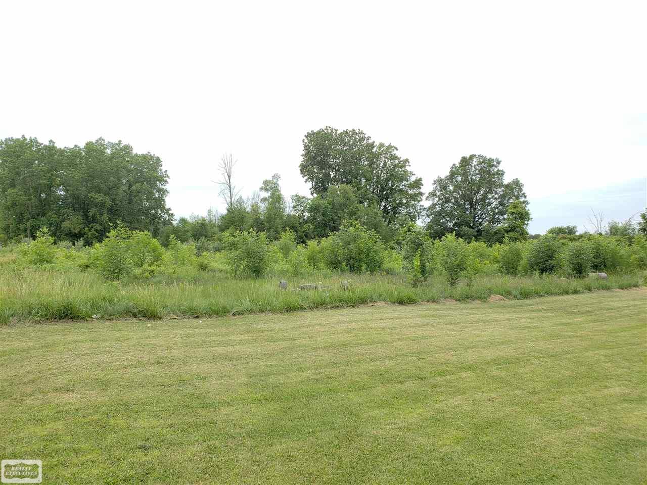 3201 Capac Road Capac, MI 48014 - Photo 4 of 18 13 Acres with Awesome Vie