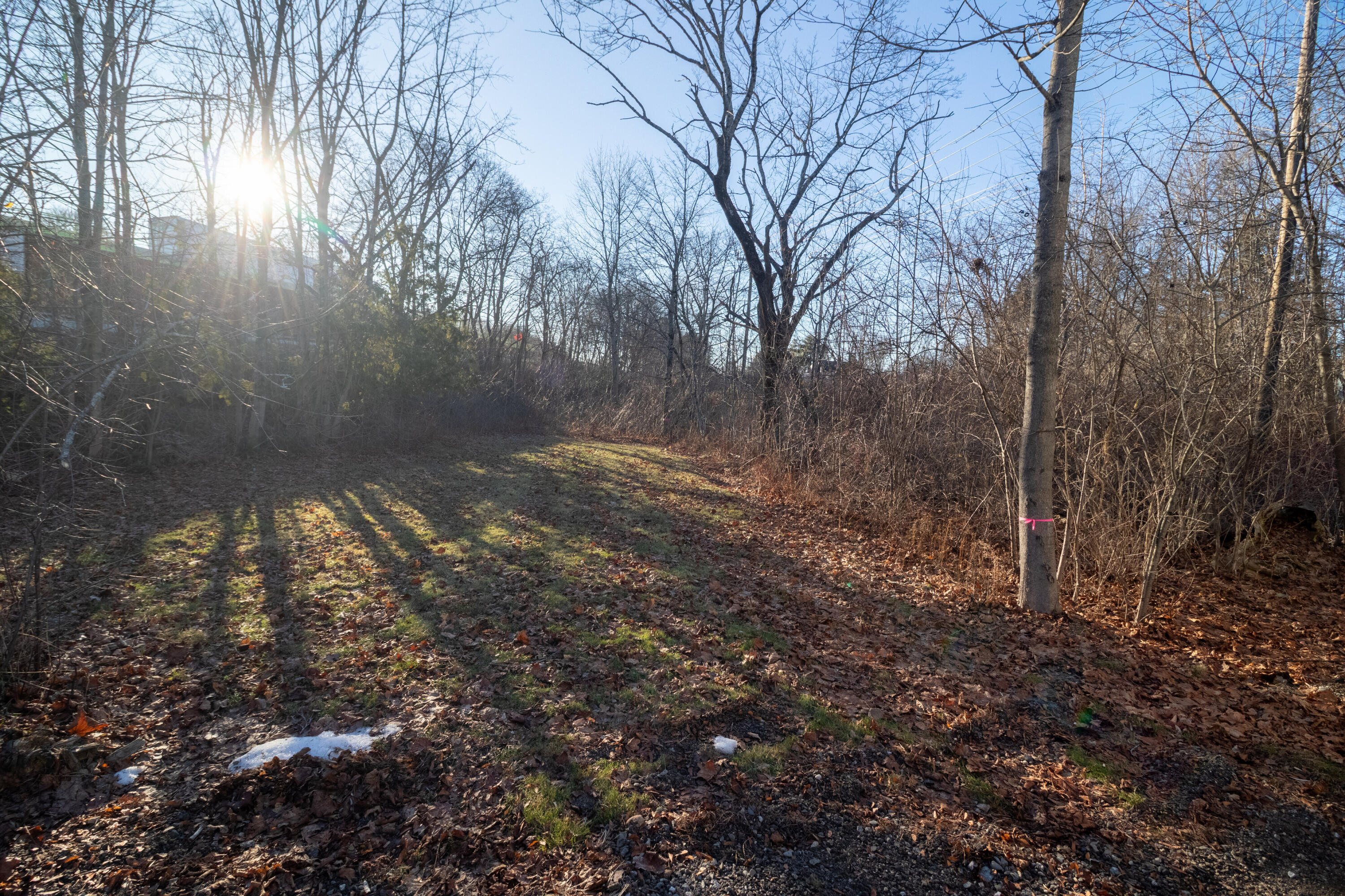 546 Broadway Bangor, ME 04401 - Photo 14 of 60 Yard