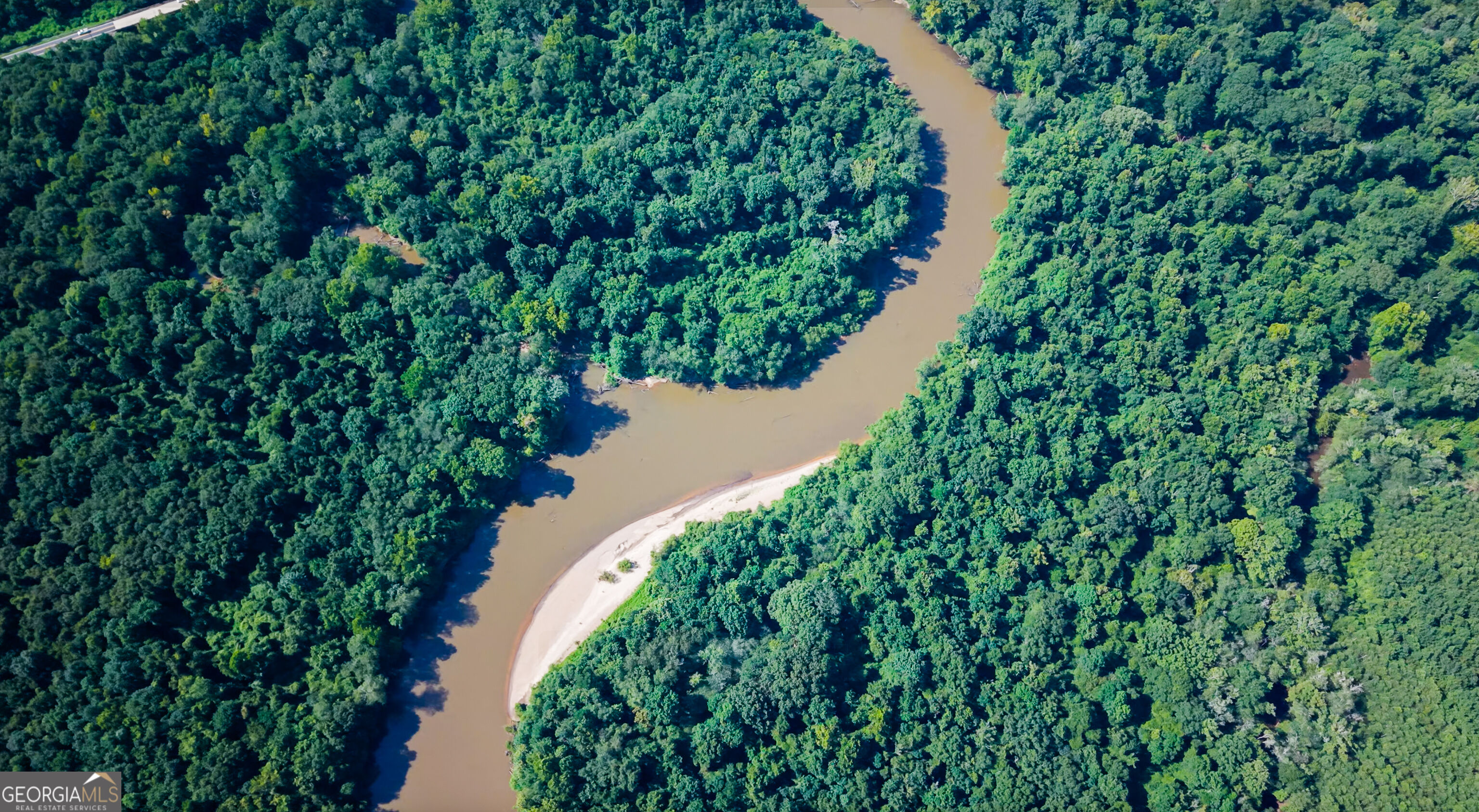 0 River Road Montezuma, GA 31063 - Photo 16 of 17 Gallery Image 16