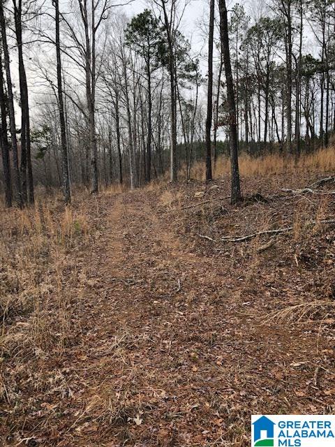 208 County Road, Unit 4 43 Heflin, AL 36264 - Photo 4 of 4