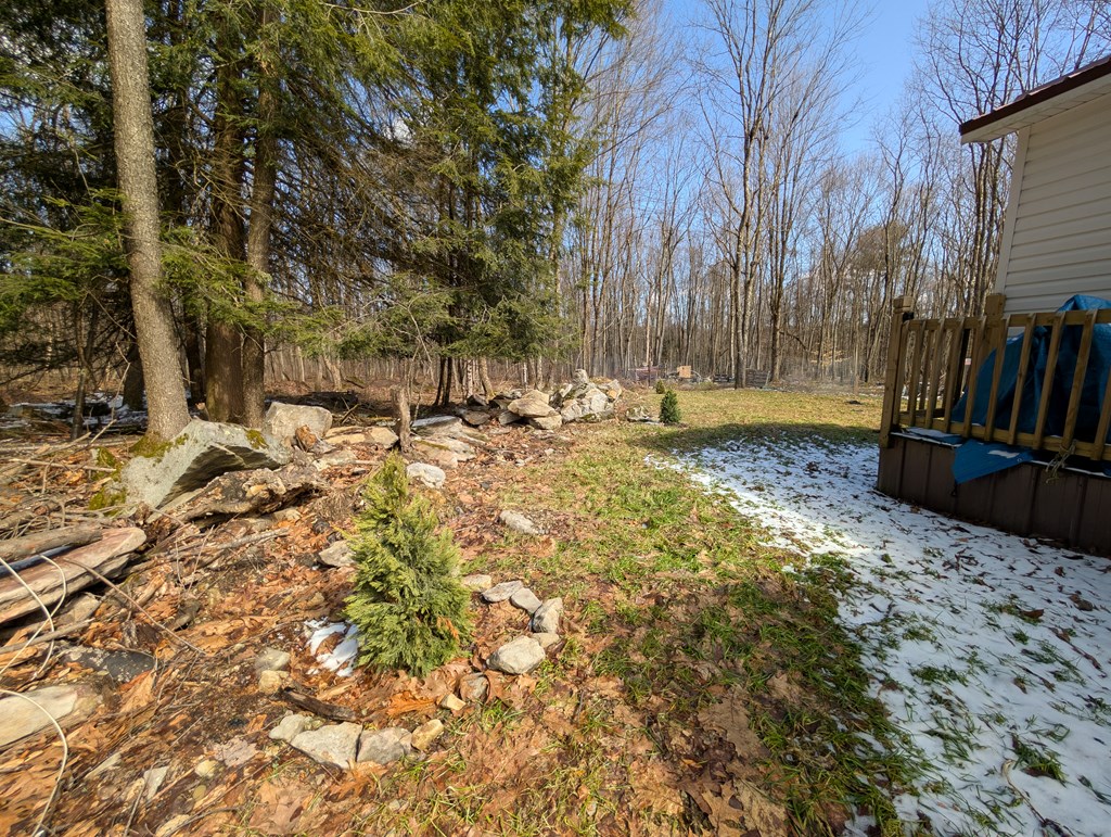 205 Bel Isle Road Tionesta, PA 16353 - Photo 7 of 16
