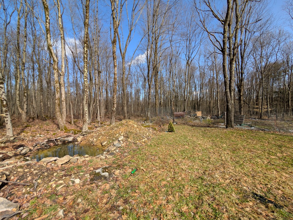 205 Bel Isle Road Tionesta, PA 16353 - Photo 8 of 16