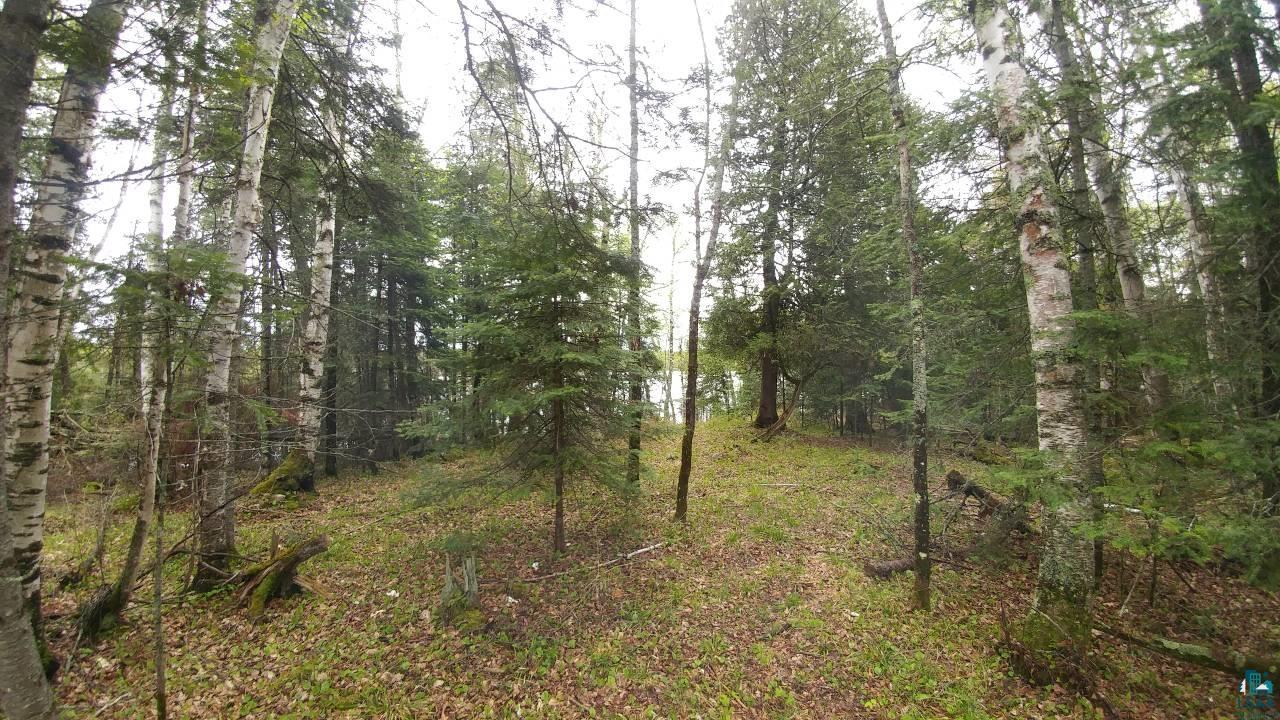 4512 Serenity Point Road Tower, MN 55790 - Photo 5 of 15