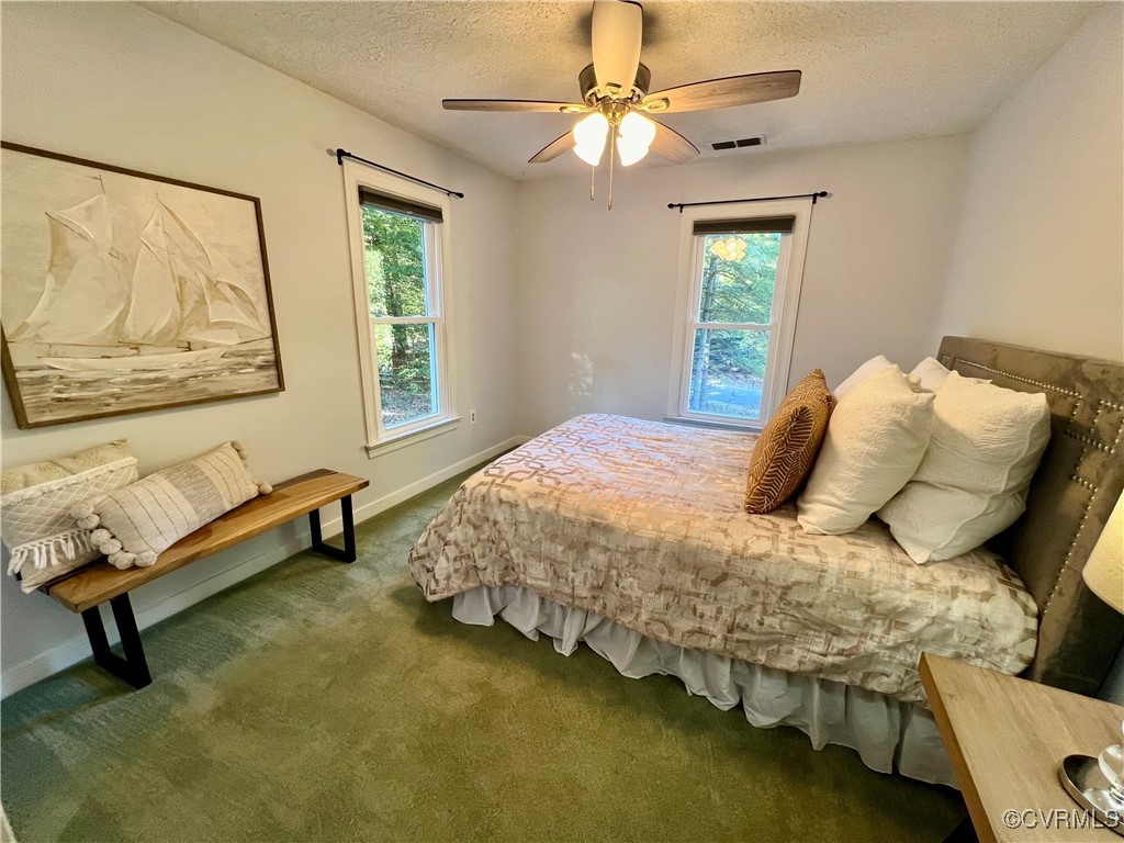 8006 Sinclair Road Mechanicsville, VA 23111 - Photo 35 of 45 Bedroom featuring a textured ceiling, multiple win