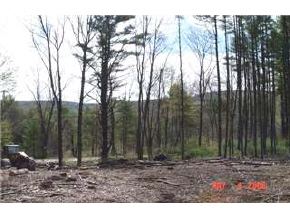 4-2 Plummer Road Sanbornton, NH 03269 - Photo 2 of 6