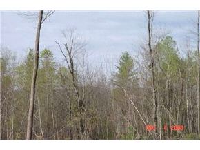 4-2 Plummer Road Sanbornton, NH 03269 - Photo 3 of 6