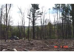 4-2 Plummer Road Sanbornton, NH 03269 - Photo 4 of 6