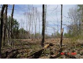 4-2 Plummer Road Sanbornton, NH 03269 - Photo 6 of 6