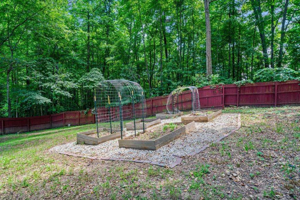 3687 Vine Springs Trace Bethlehem, GA 30620 - Photo 55 of 62