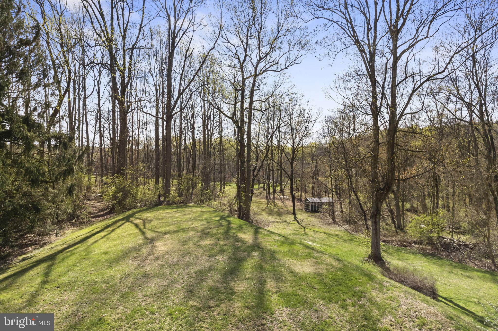 1017 Scholl Road Pottstown, PA 19465 - Photo 48 of 56 a swimming pool with trees in the background