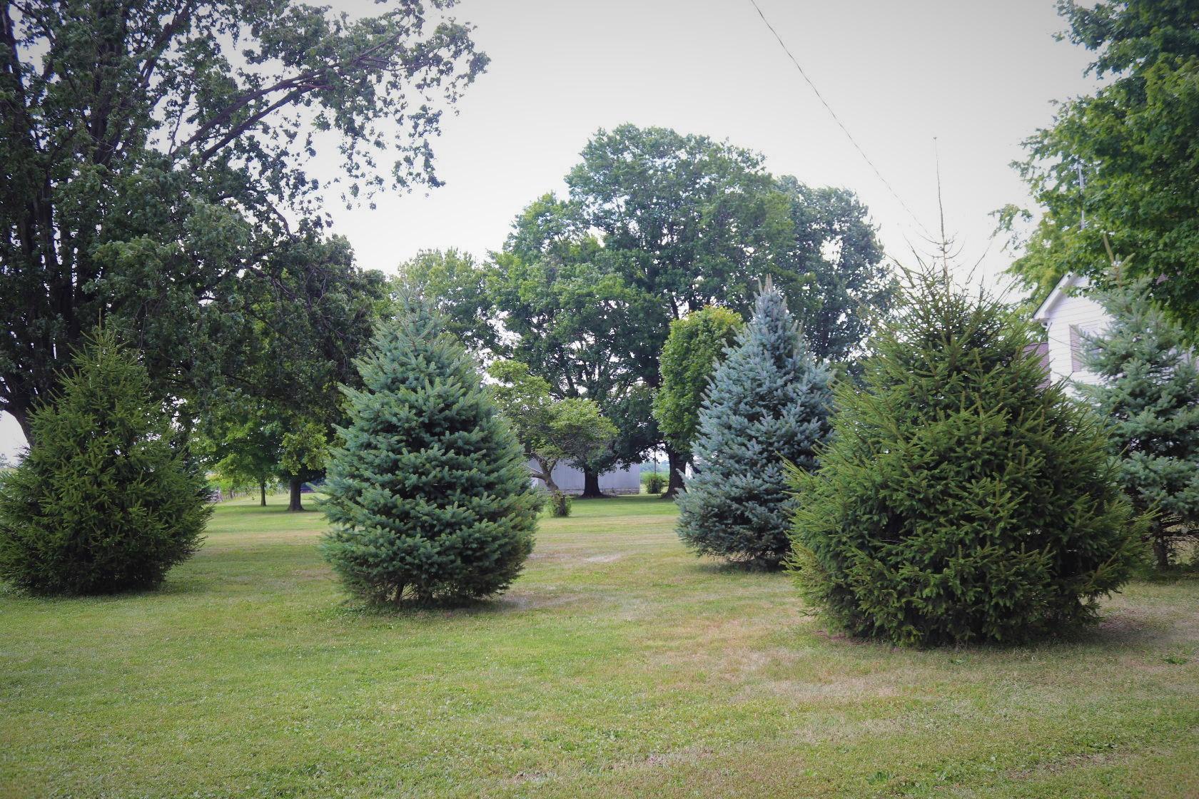 374 Cole Road Galloway, OH 43119 - Photo 71 of 72 Gallery Image 71