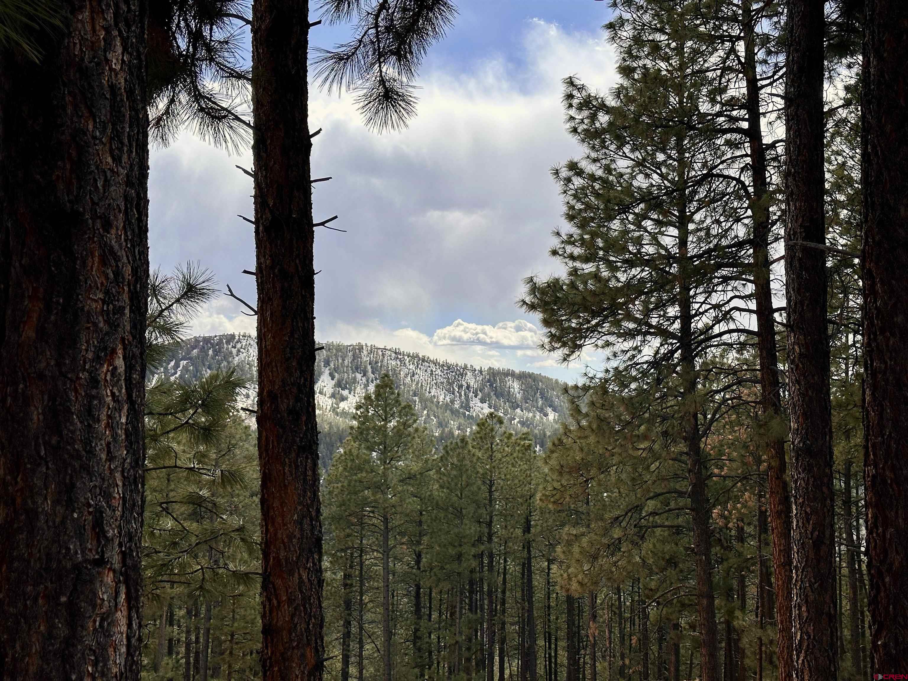 a view of a yard from a balcony