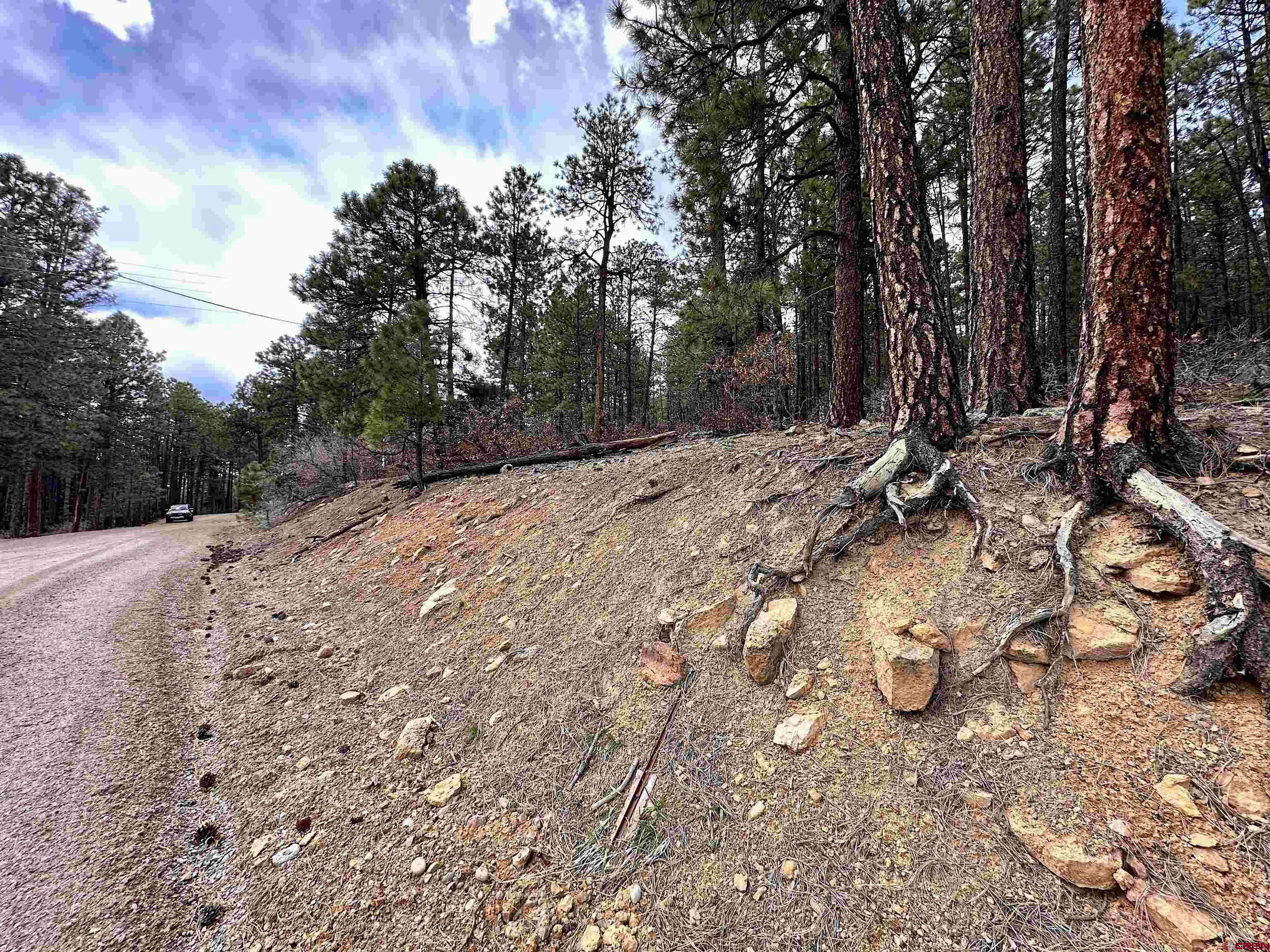 183 Timber Drive Bayfield, CO 81122 - Photo 11 of 18 a view of a yard with trees