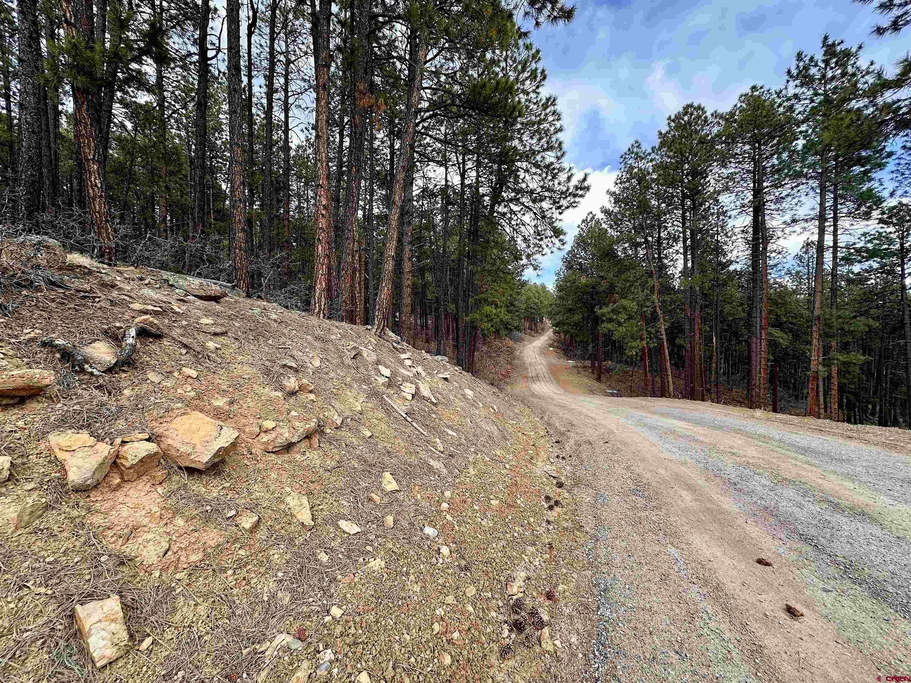 183 Timber Drive Bayfield, CO 81122 - Photo 12 of 18 a view of a backyard of the house