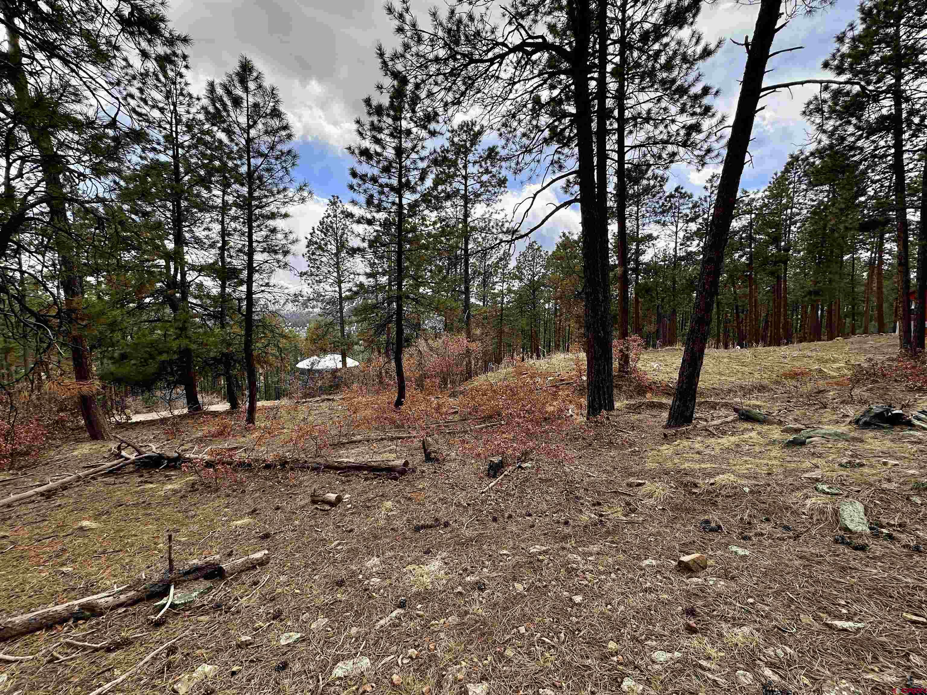 183 Timber Drive Bayfield, CO 81122 - Photo 2 of 18 a view of road with trees
