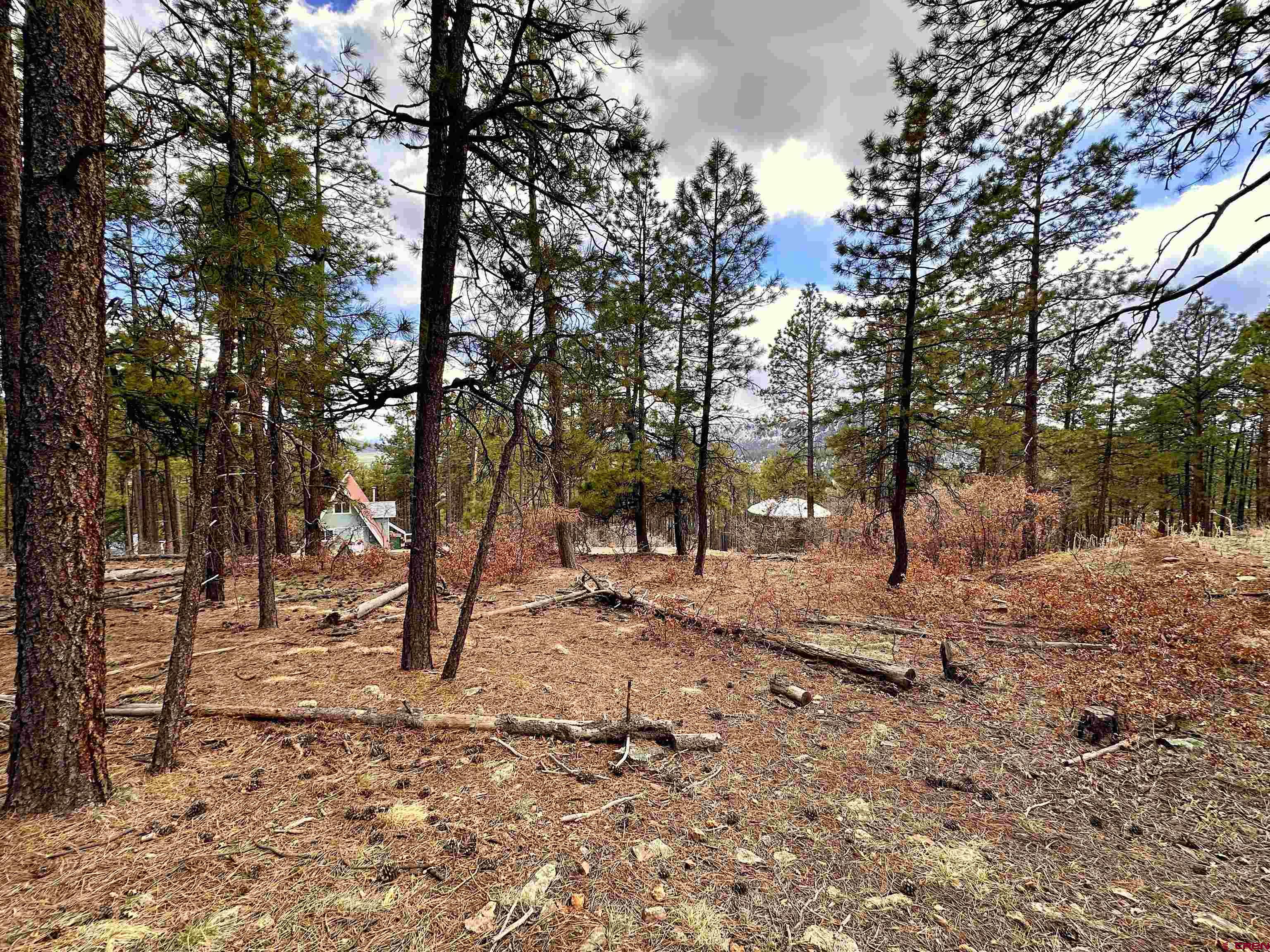 183 Timber Drive Bayfield, CO 81122 - Photo 3 of 18 a view of road and trees