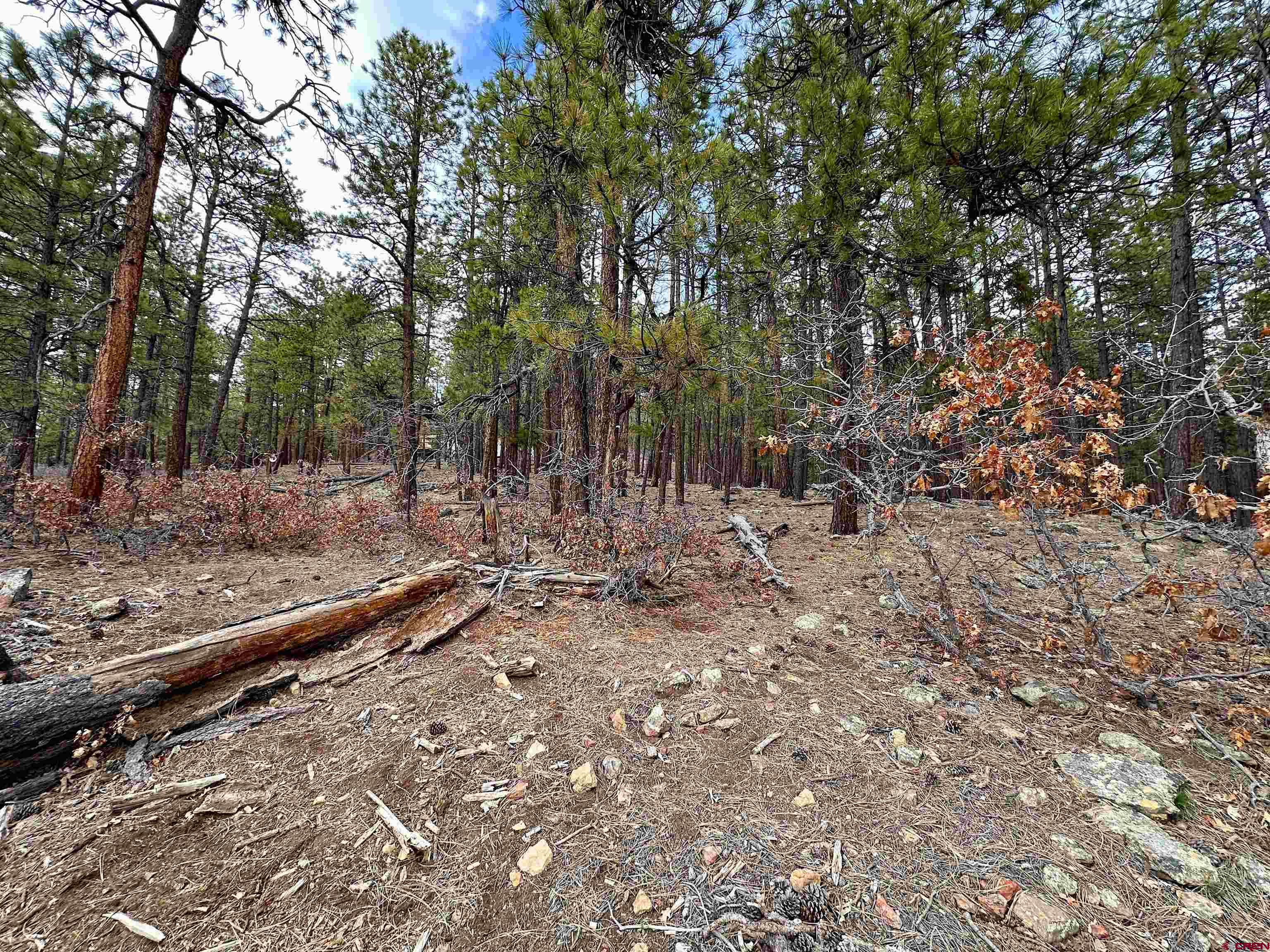 183 Timber Drive Bayfield, CO 81122 - Photo 4 of 18 a view of a yard with wooden fence